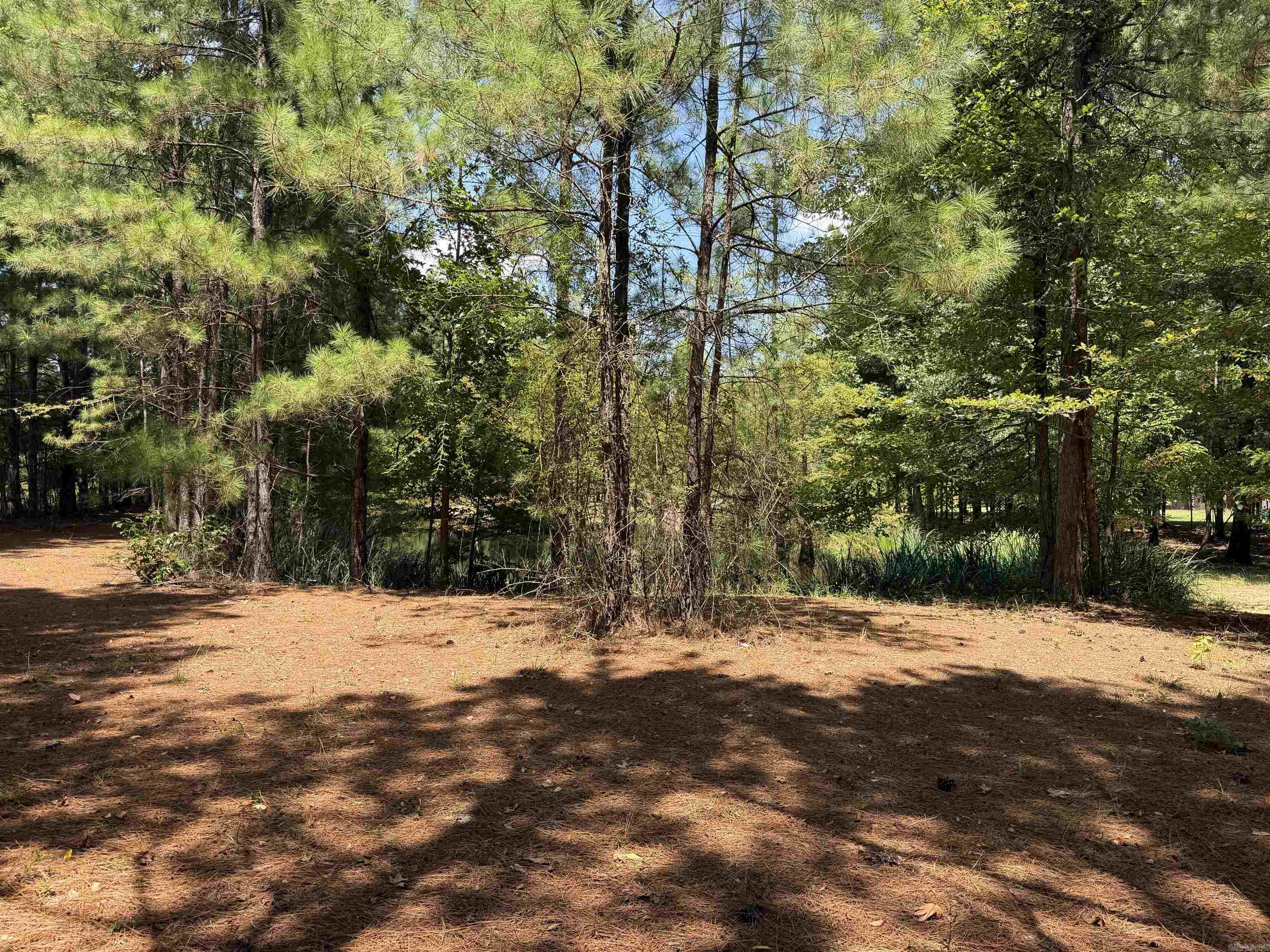 6917 Sorrells Road  Pine Bluff, AR
