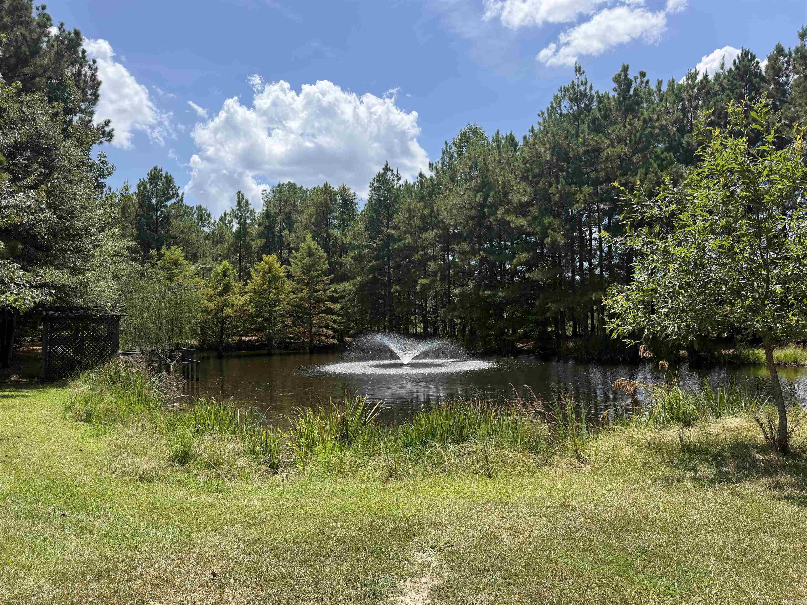 6917 Sorrells Road  Pine Bluff, AR