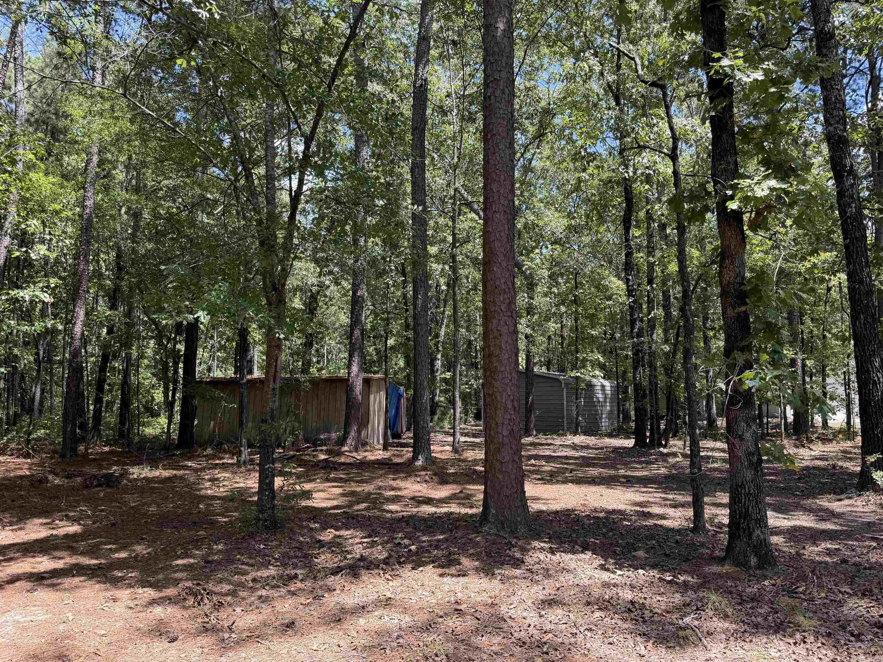 6917 Sorrells Road  Pine Bluff, AR
