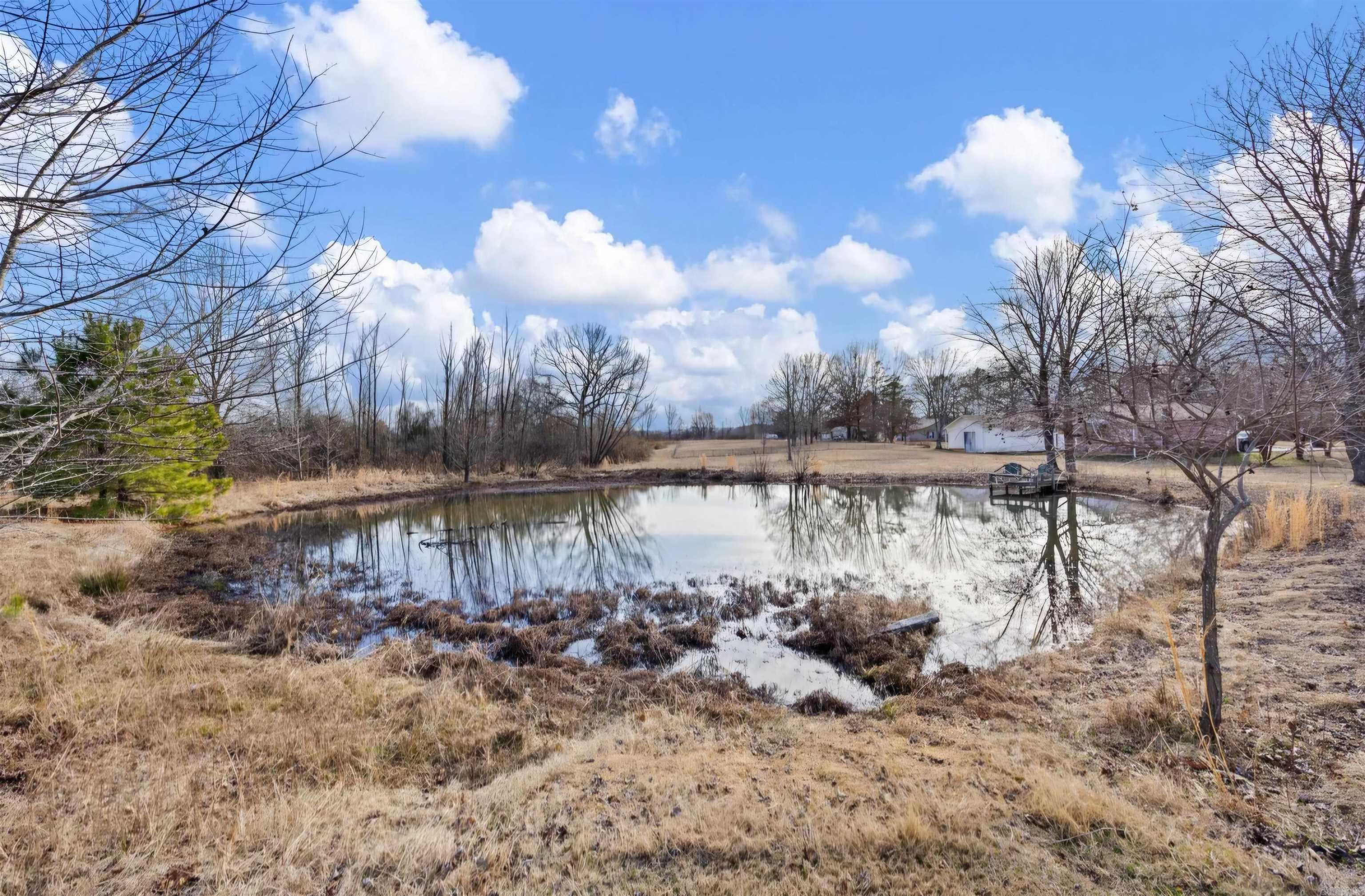 12 Old 216 Spur  Perryville, AR