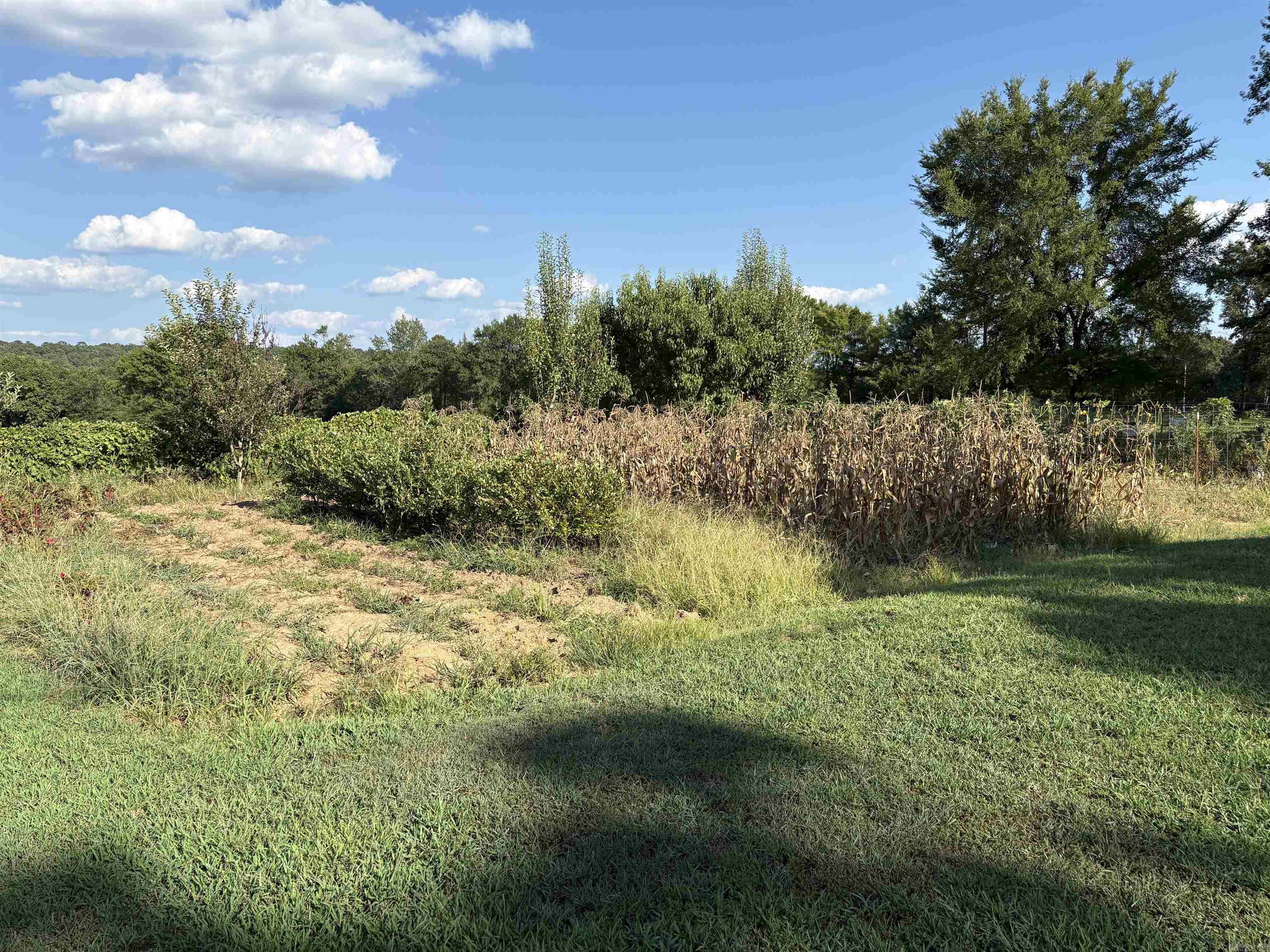 358 Polk Road 72  Mena, AR