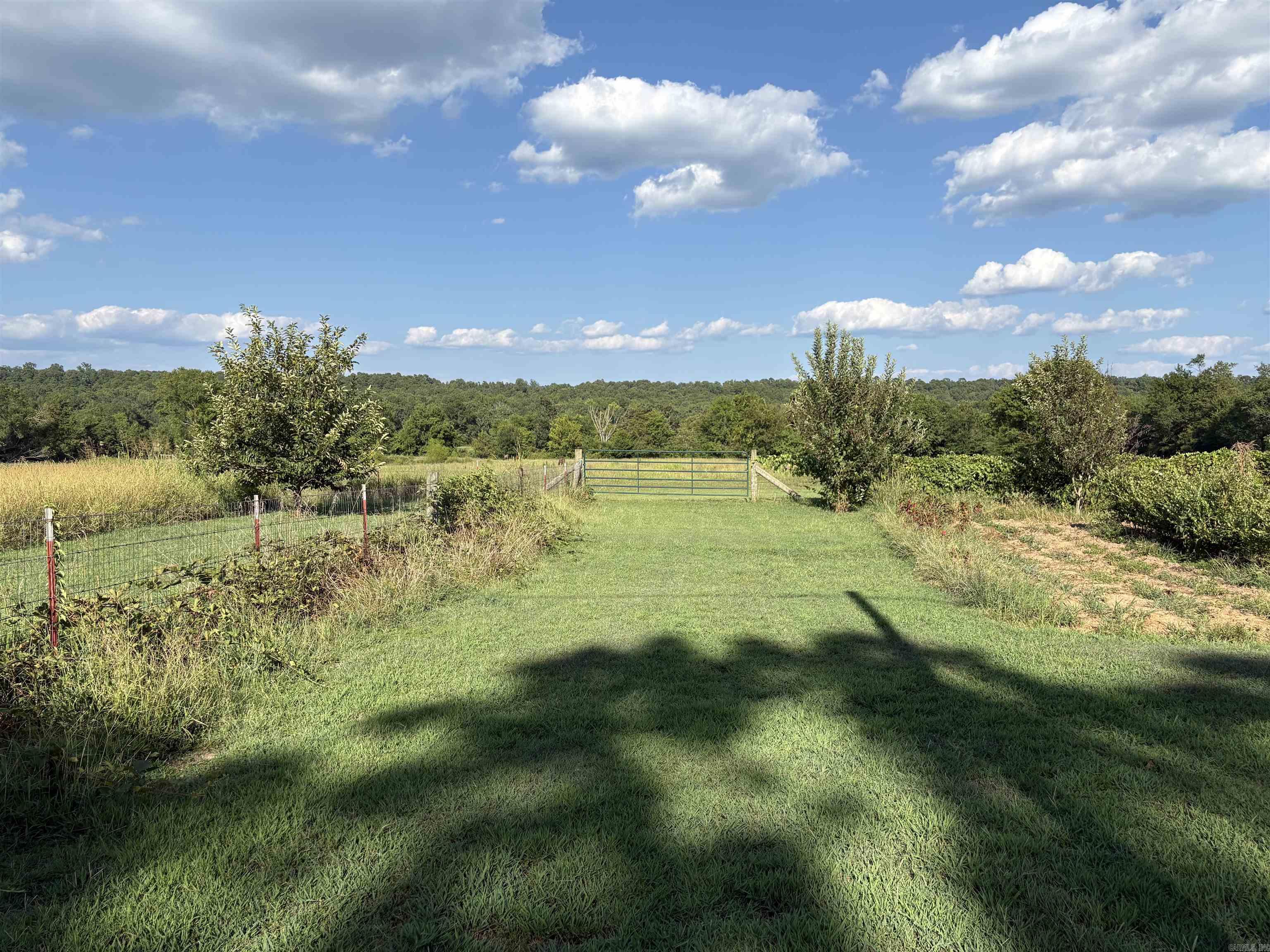 358 Polk Road 72  Mena, AR