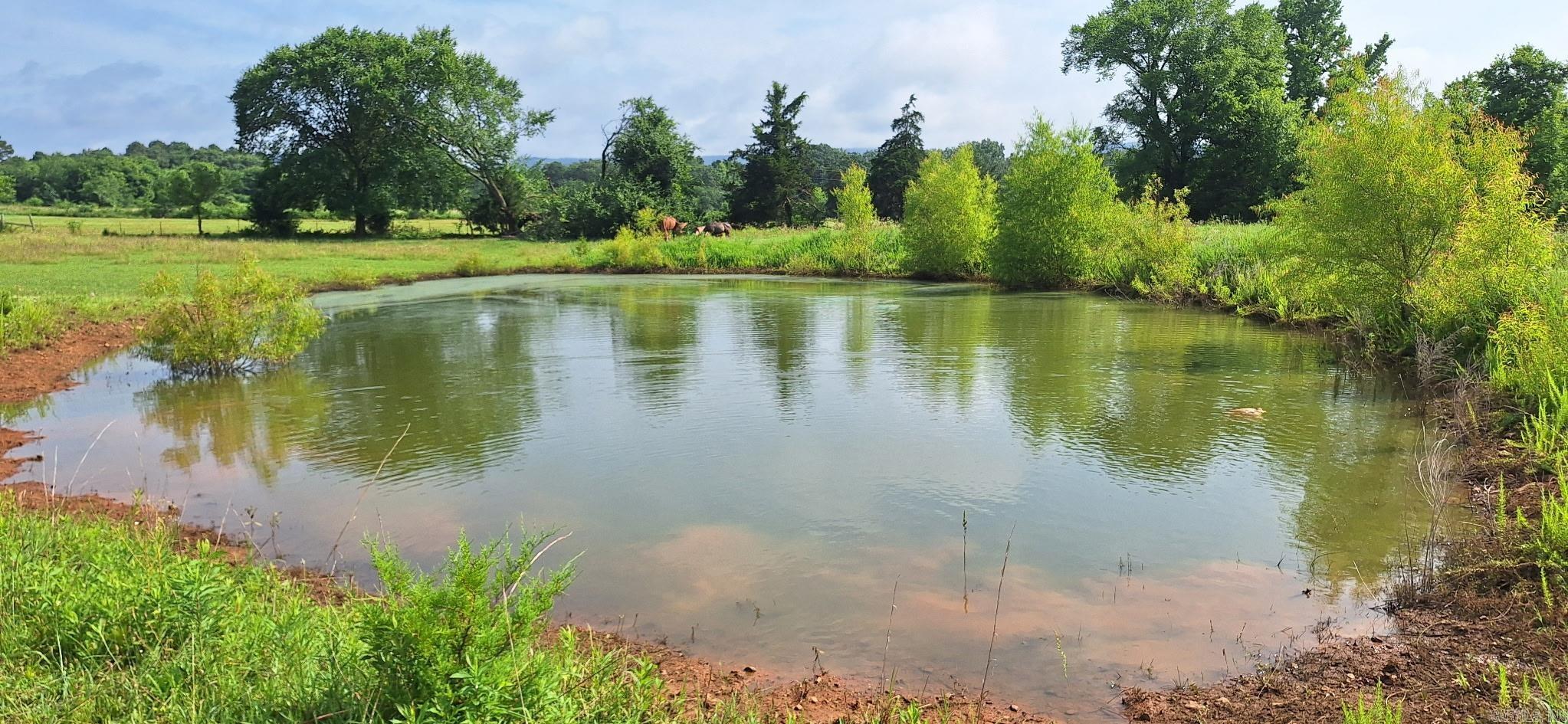 358 Polk Road 72  Mena, AR