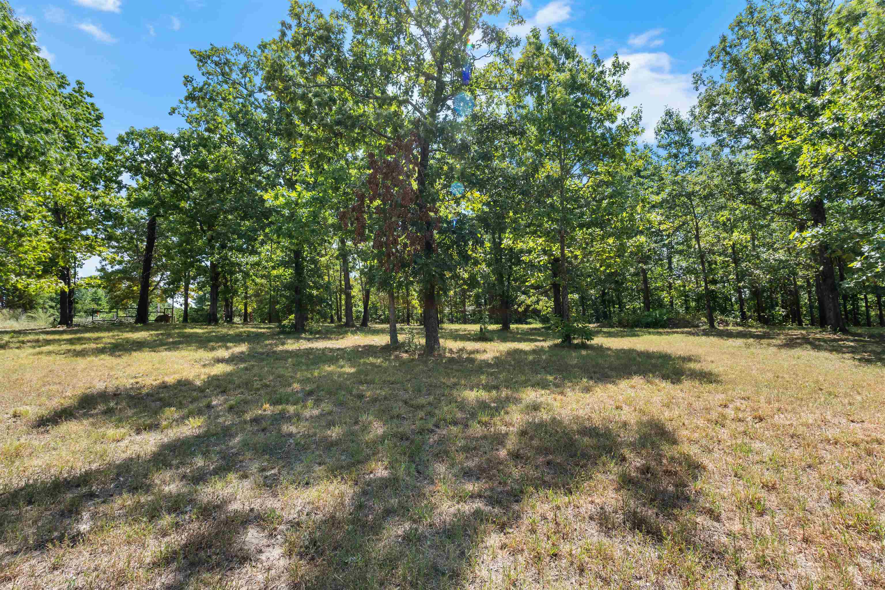 760 Red Fern  Melbourne, AR