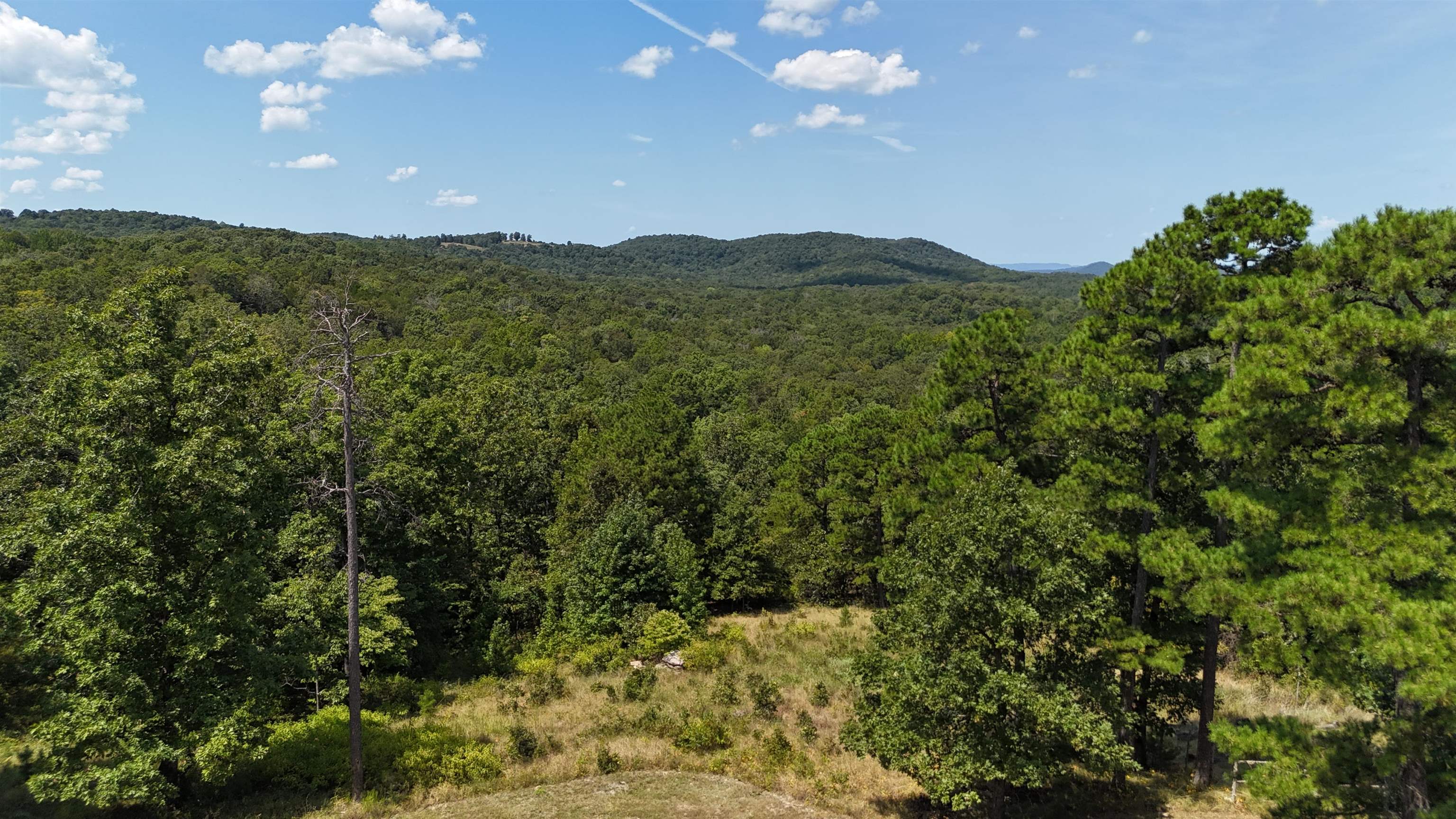 760 Red Fern  Melbourne, AR