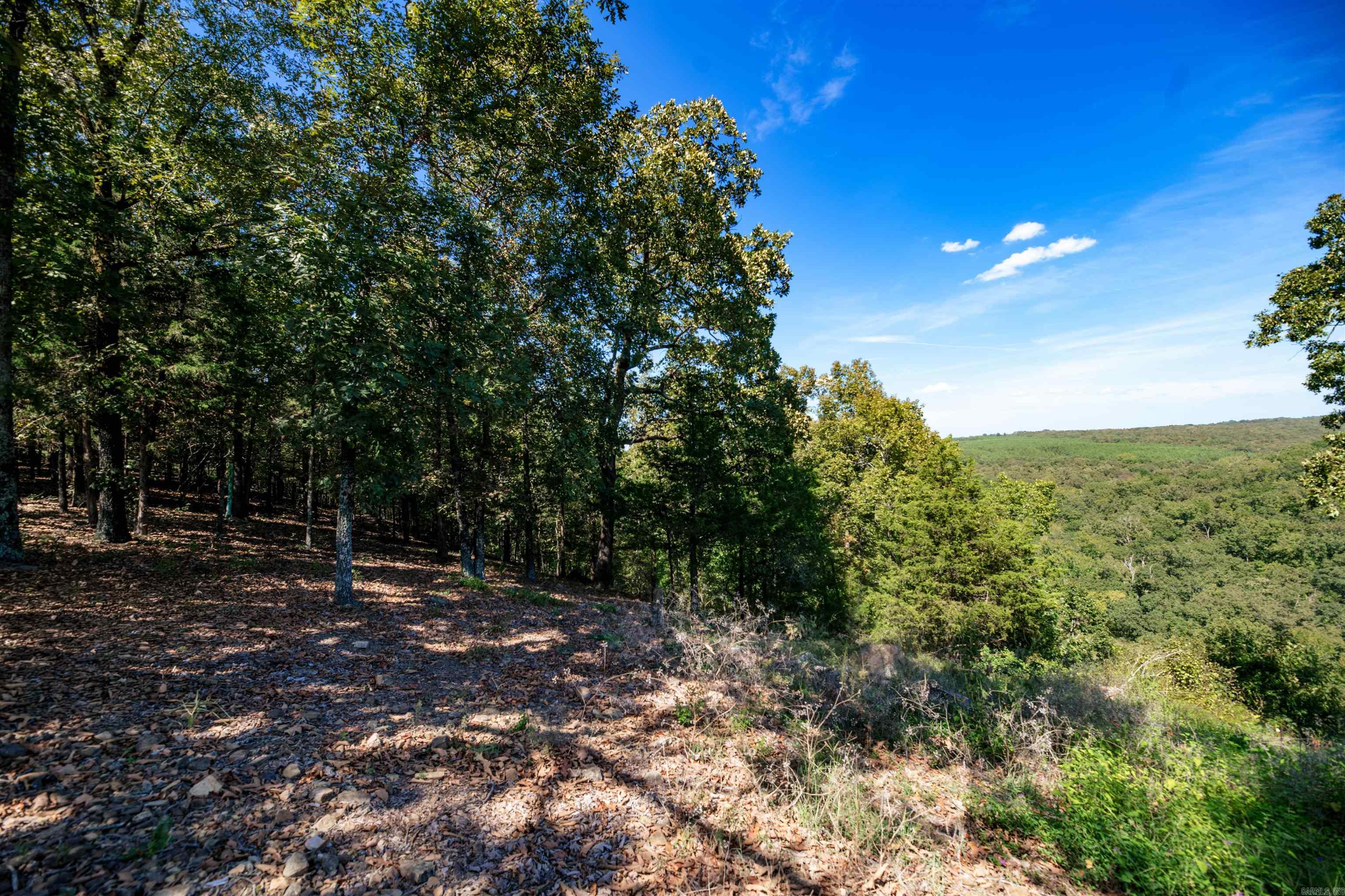 137 Mill Creek  Greenbrier, AR