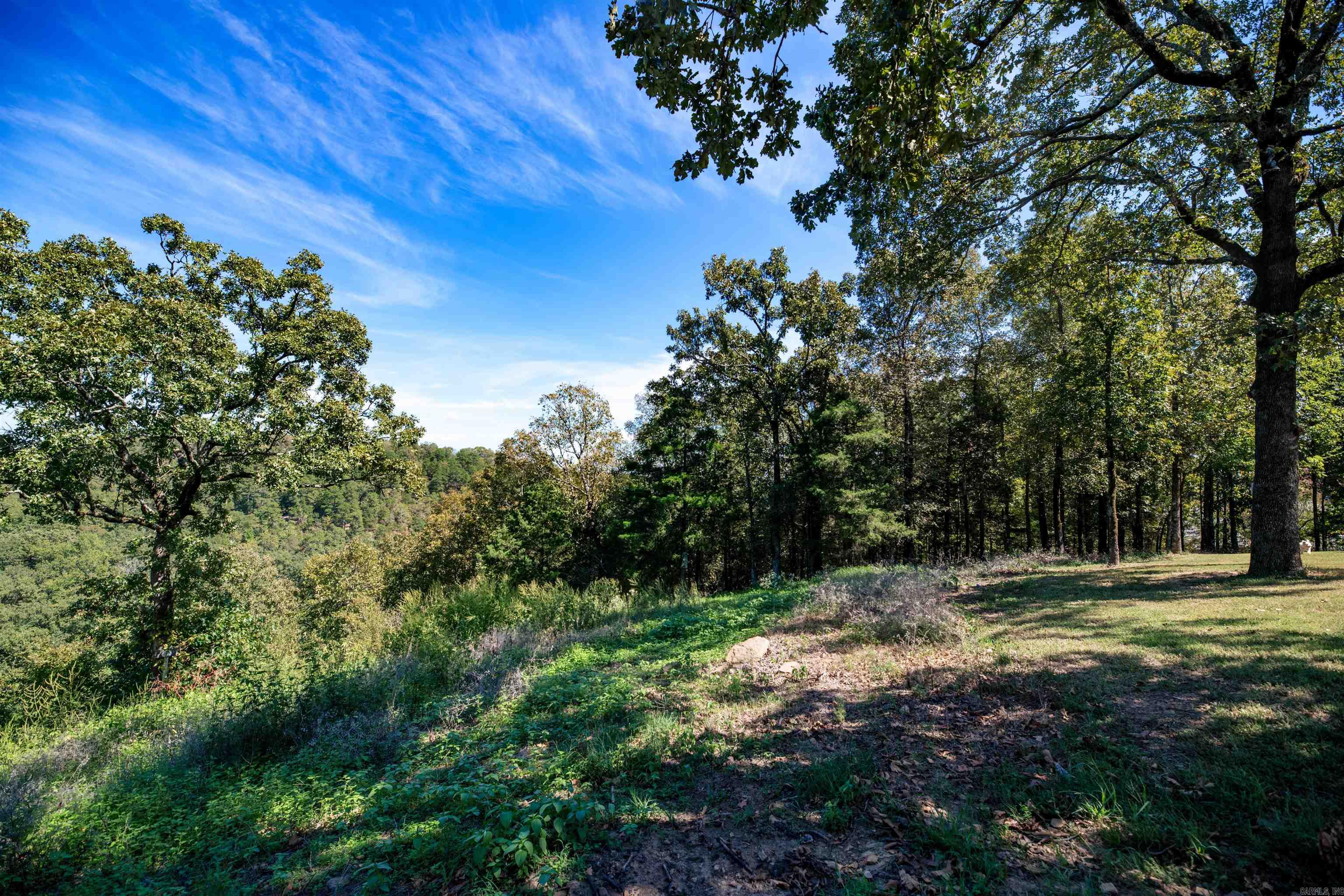 137 Mill Creek  Greenbrier, AR