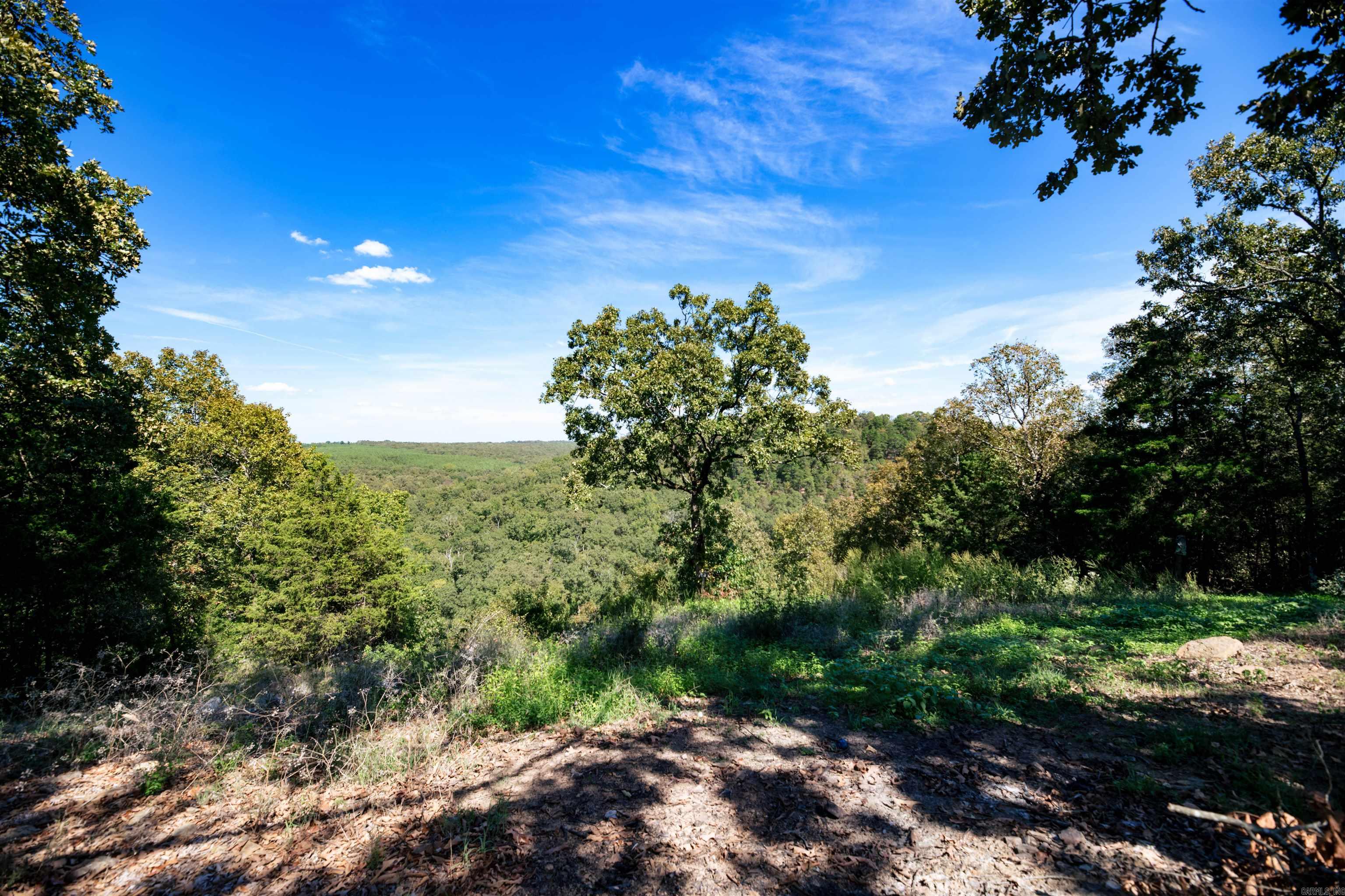 137 Mill Creek  Greenbrier, AR