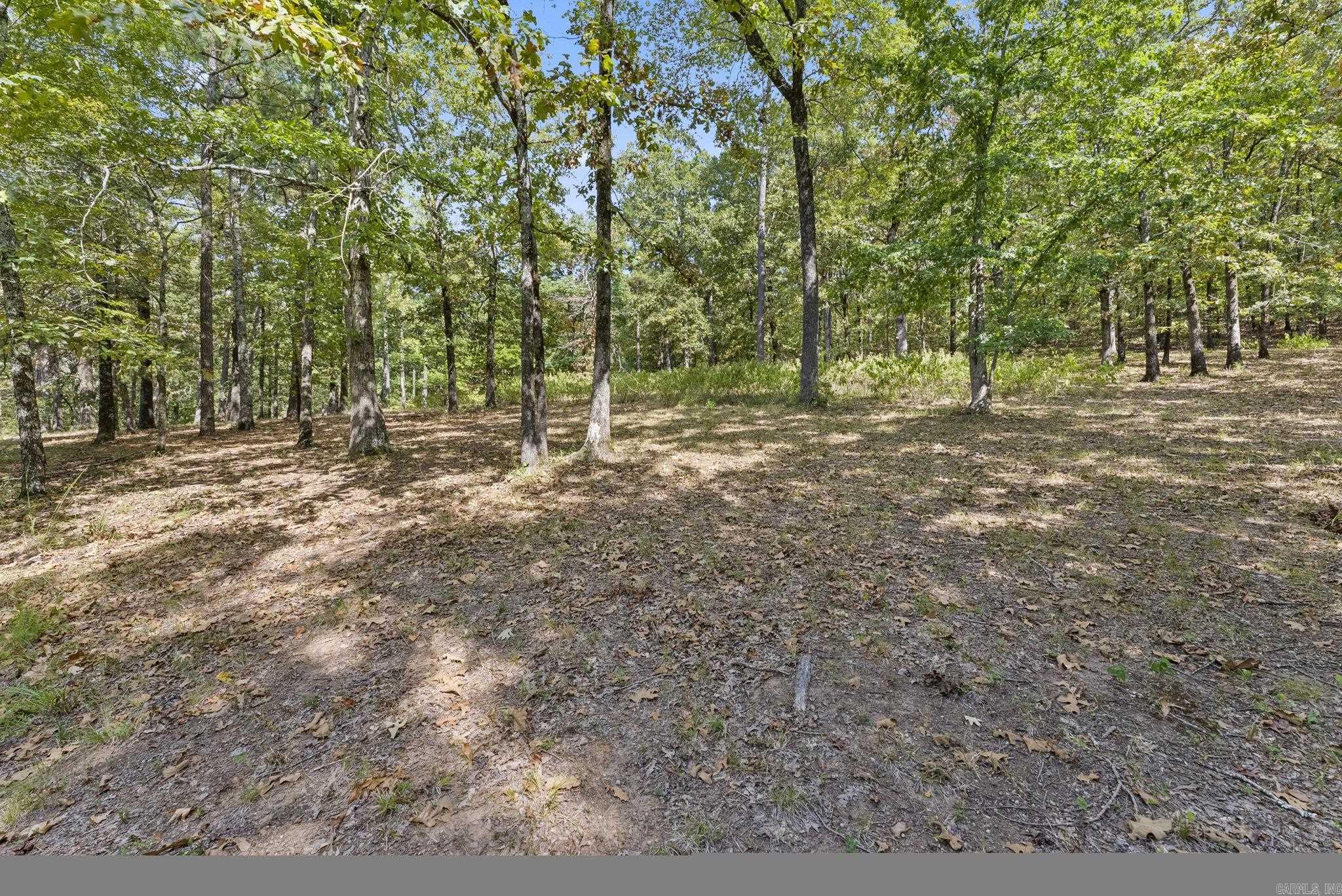 207 Goshen Valley Dr  Mayflower, AR