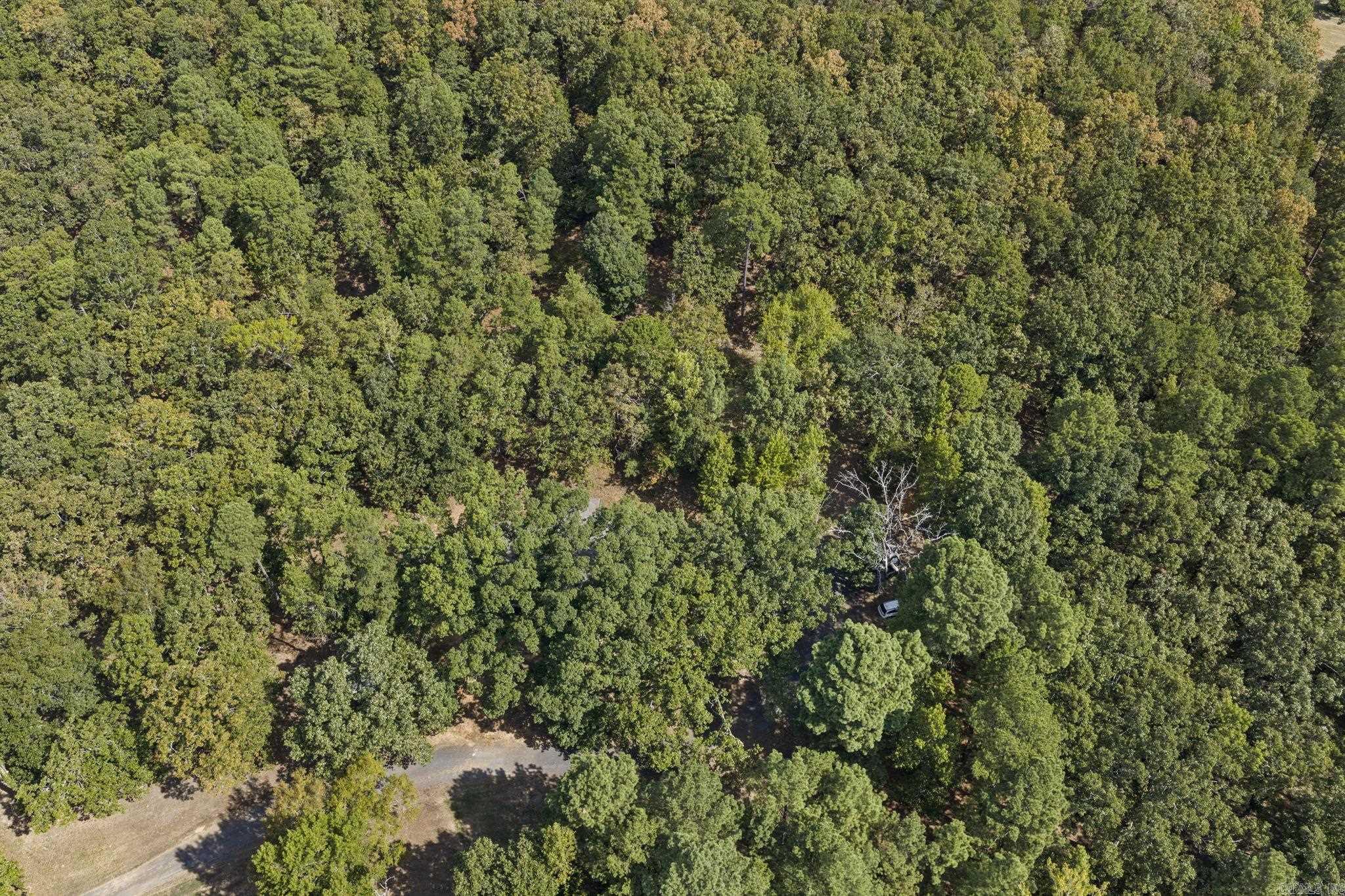 207 Goshen Valley Dr  Mayflower, AR