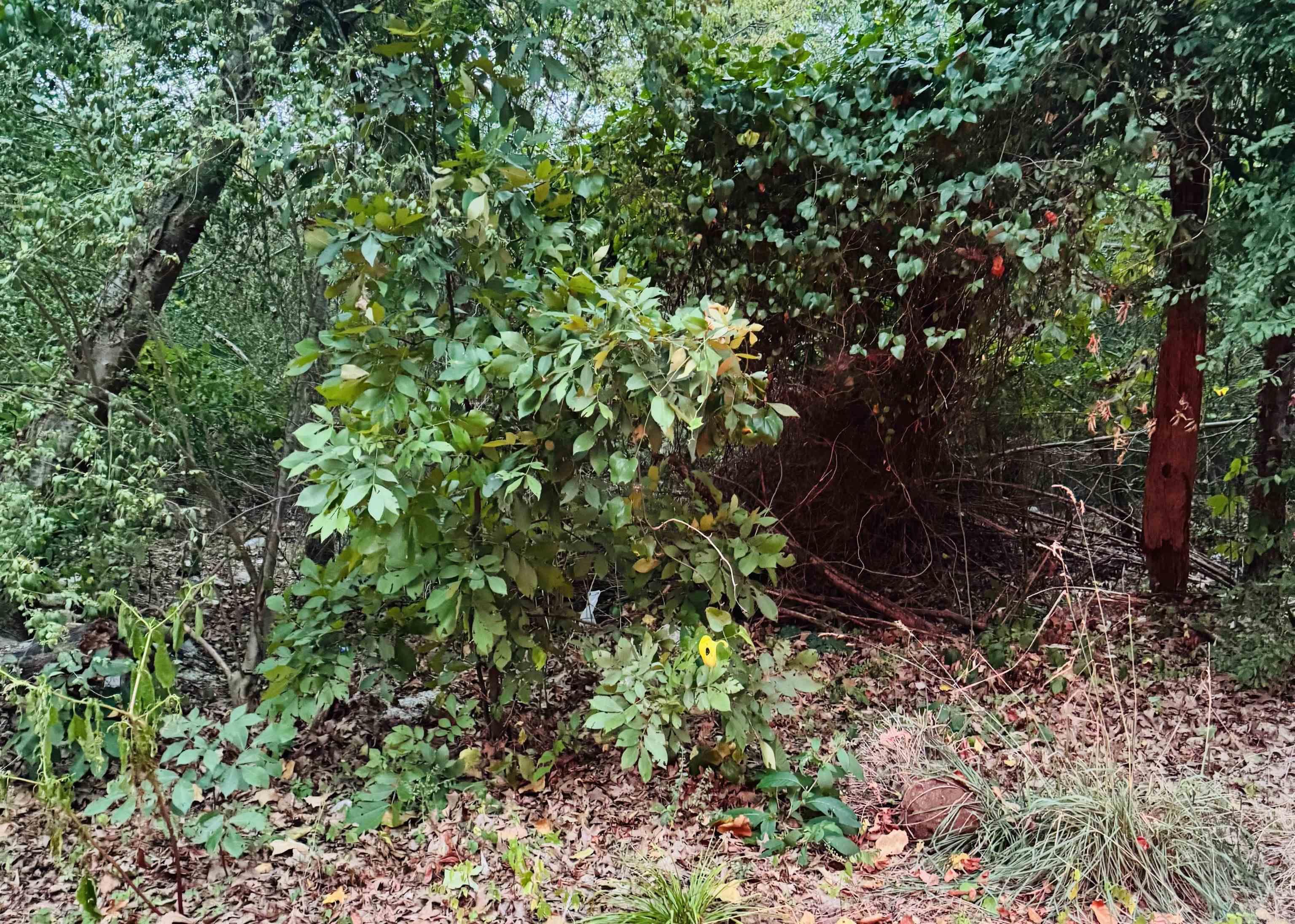 Property photo 4