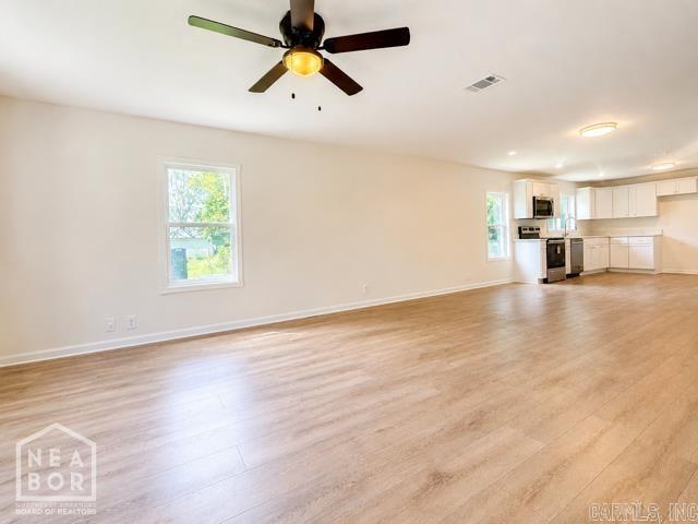 1006 SE 3rd  Walnut Ridge, AR