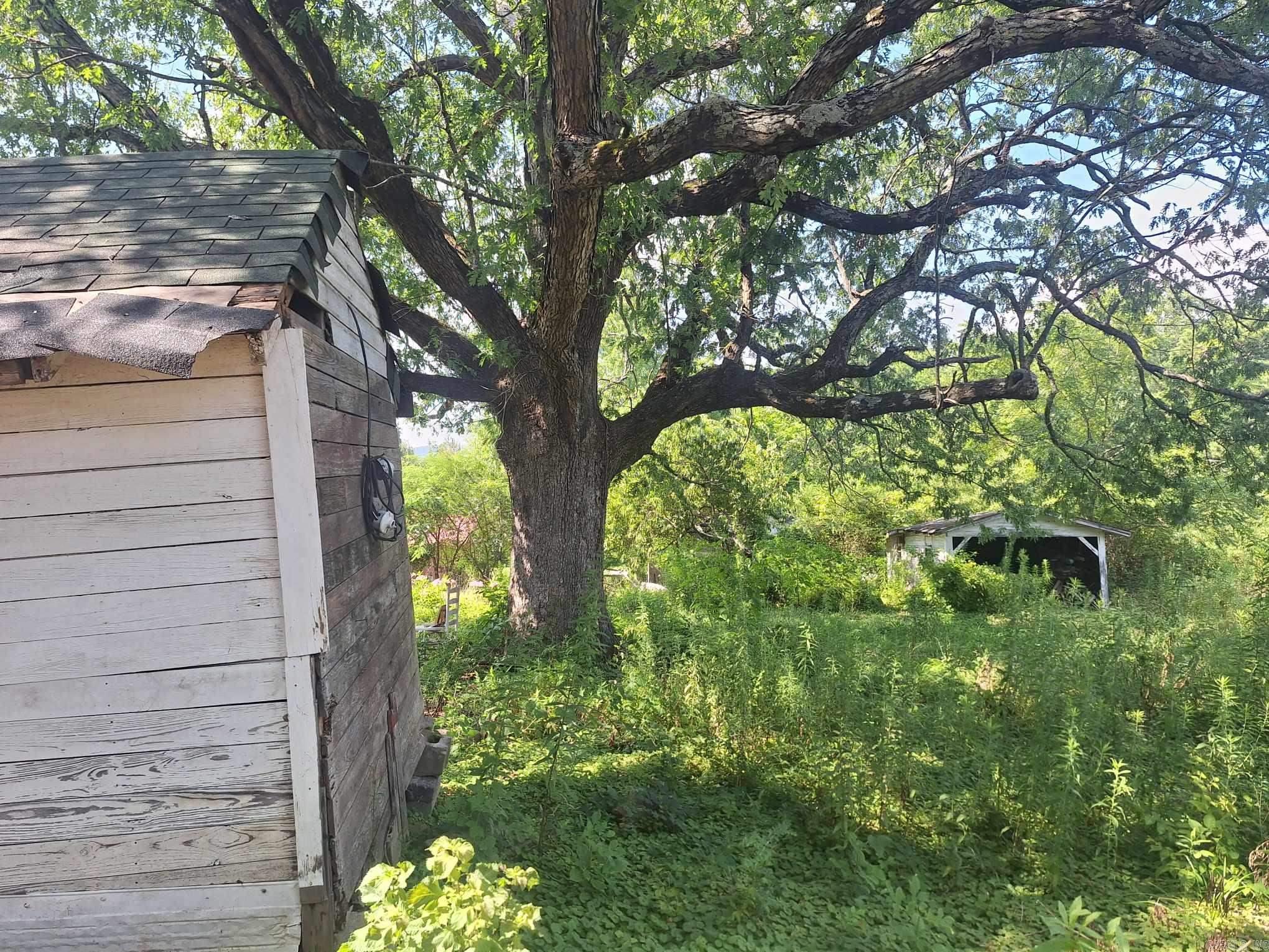 1108 Tyler St.  Mena, AR
