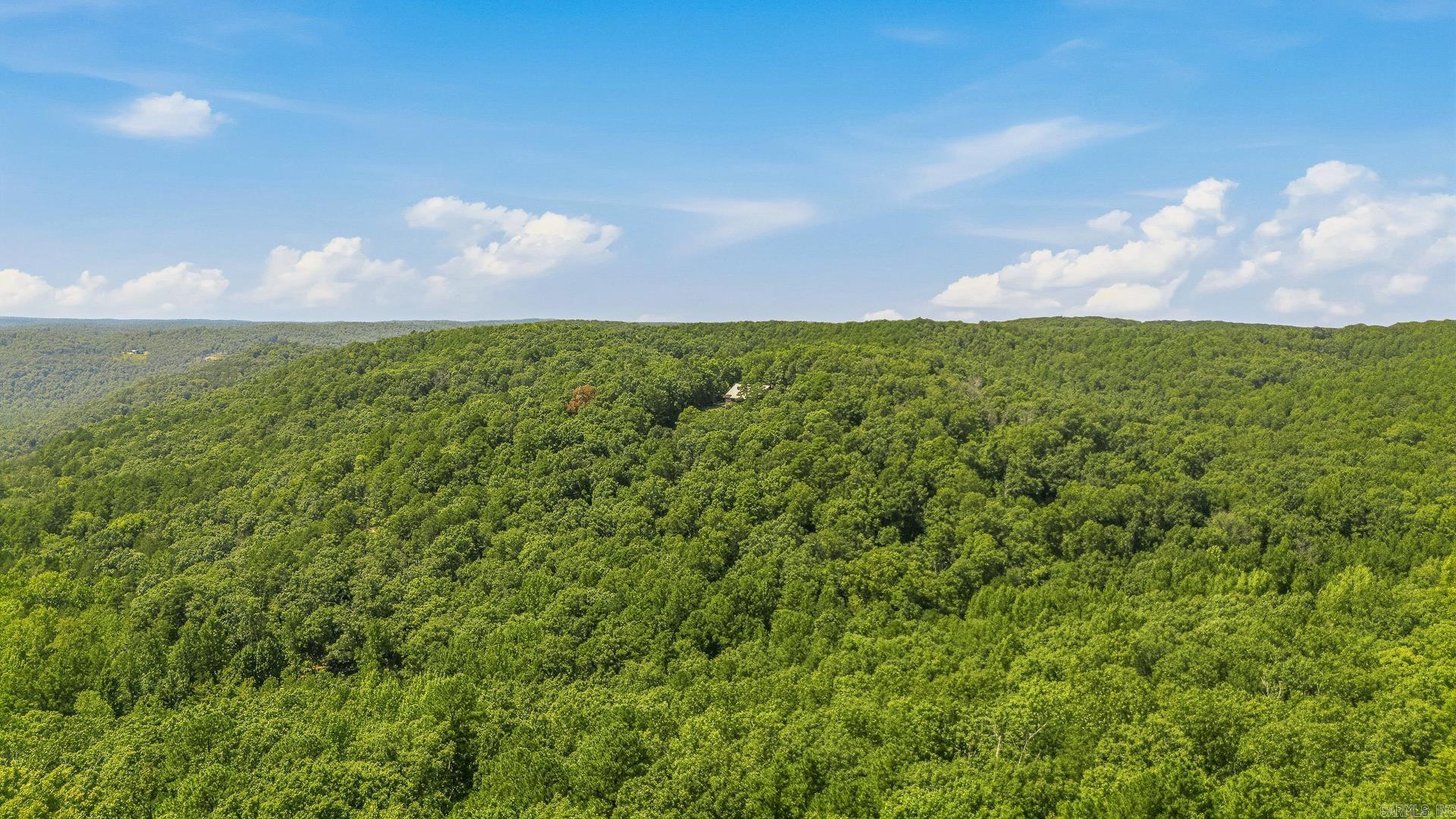 1352 Endless  Harriet, AR