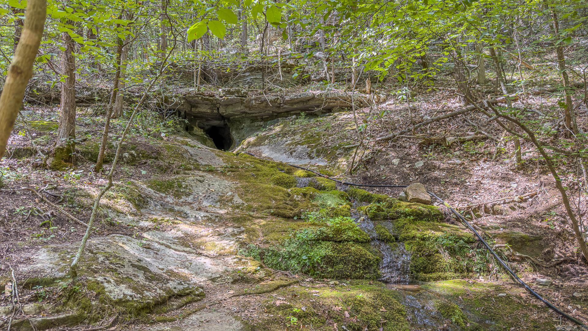 1352 Endless  Harriet, AR