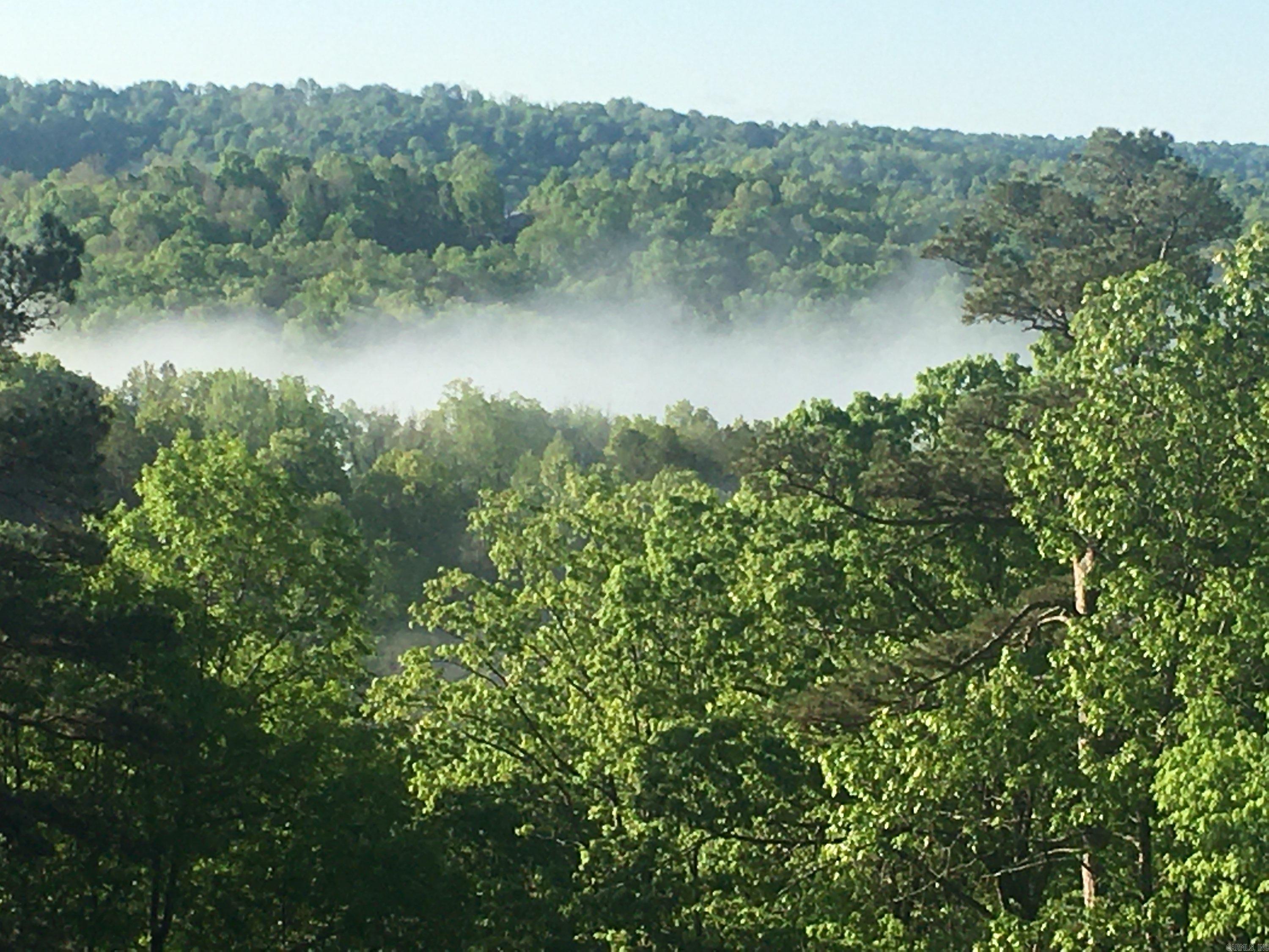 1352 Endless  Harriet, AR