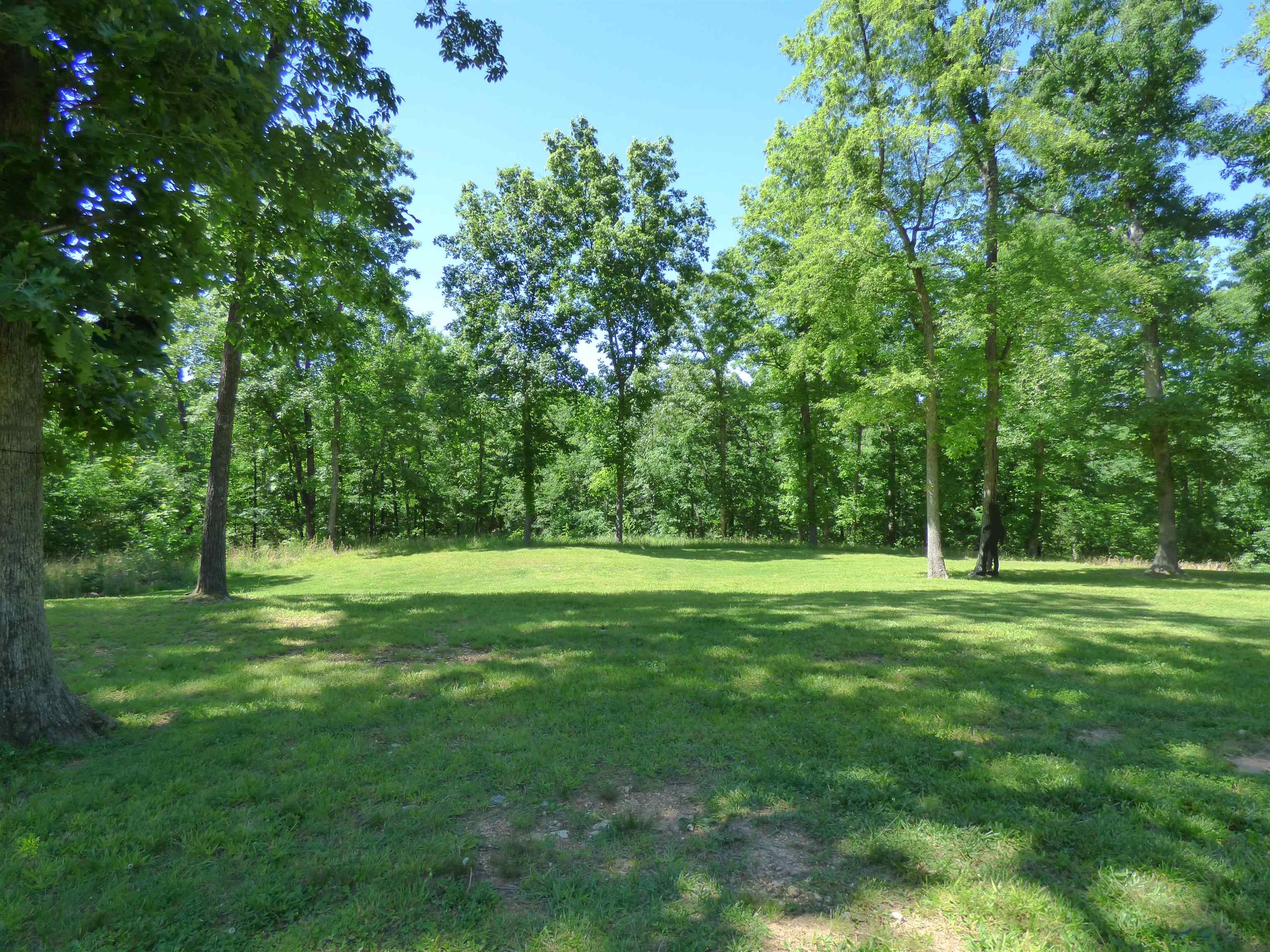 183 AR Highway 175  Hardy, AR