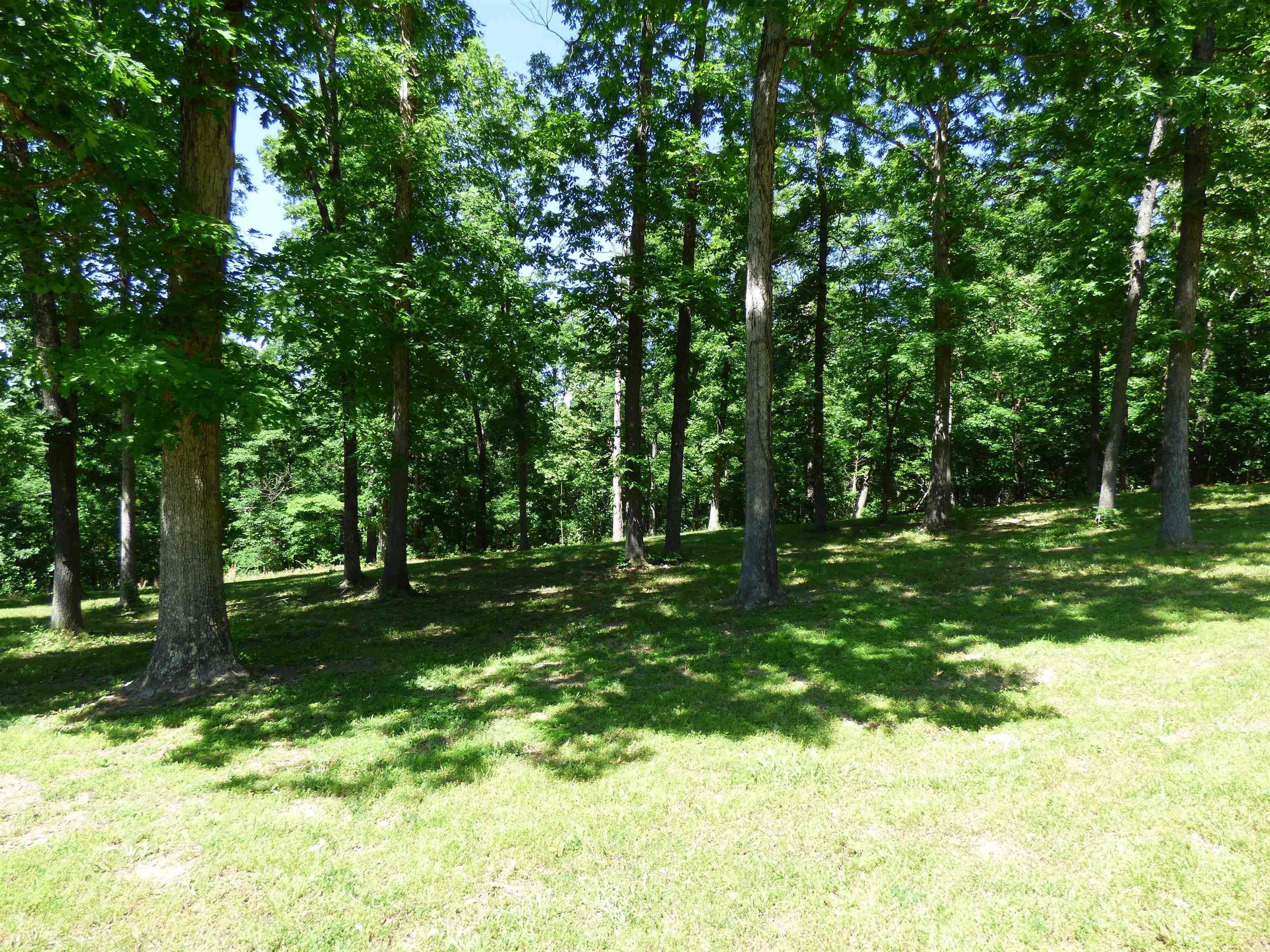 183 AR Highway 175  Hardy, AR