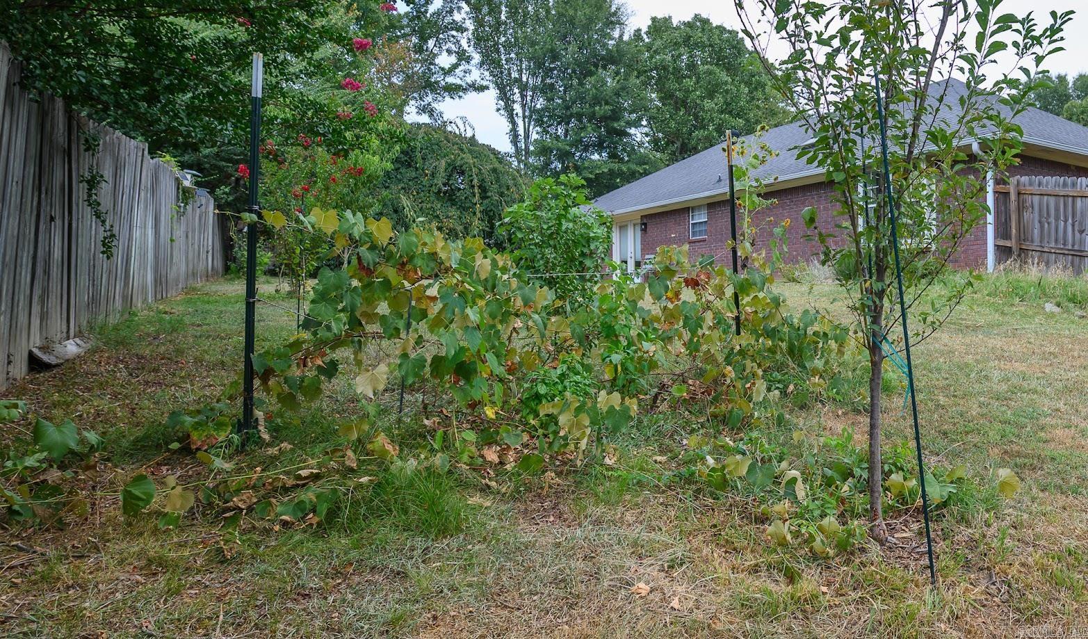 1705 Ashton  Mena, AR
