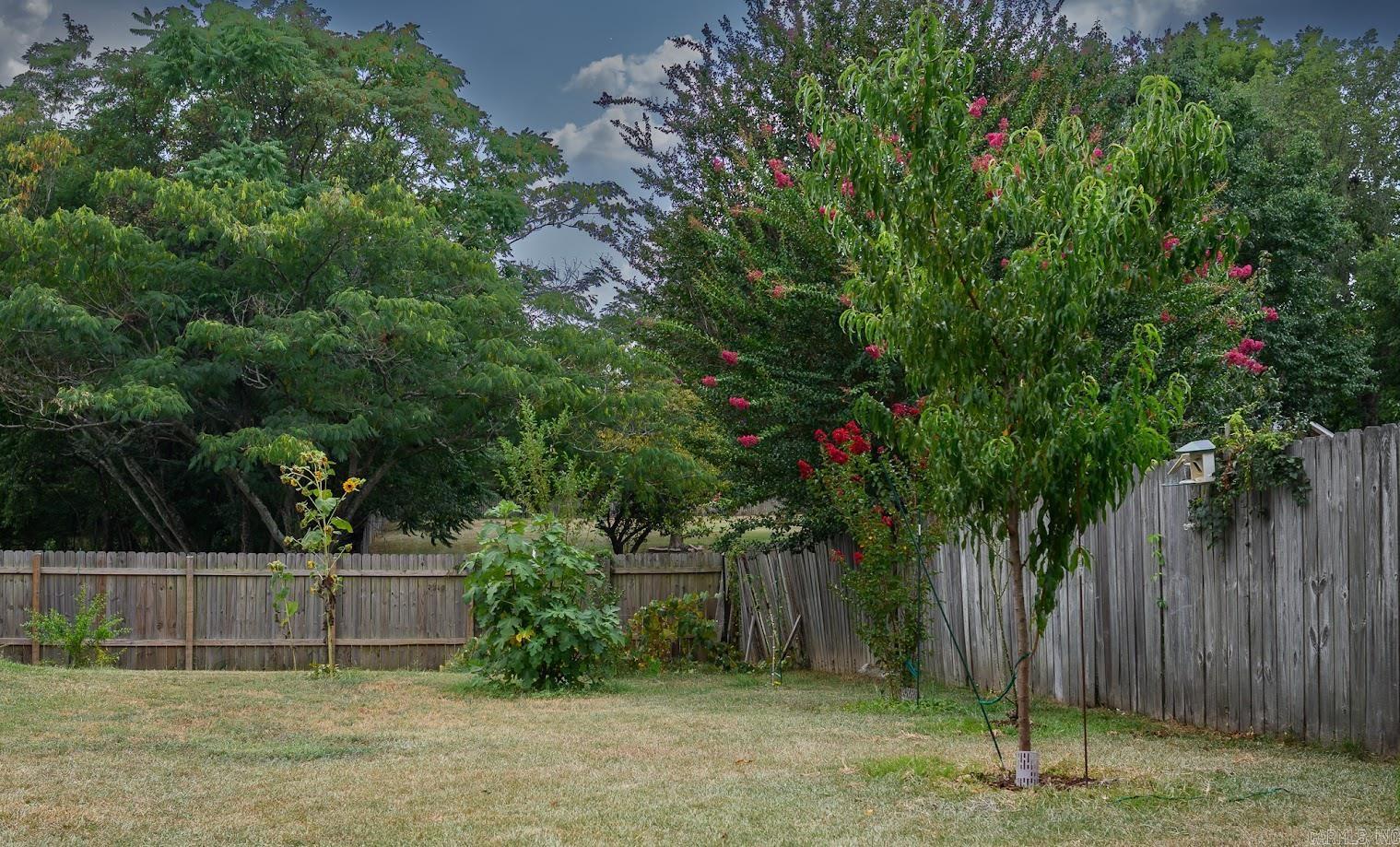 1705 Ashton  Mena, AR
