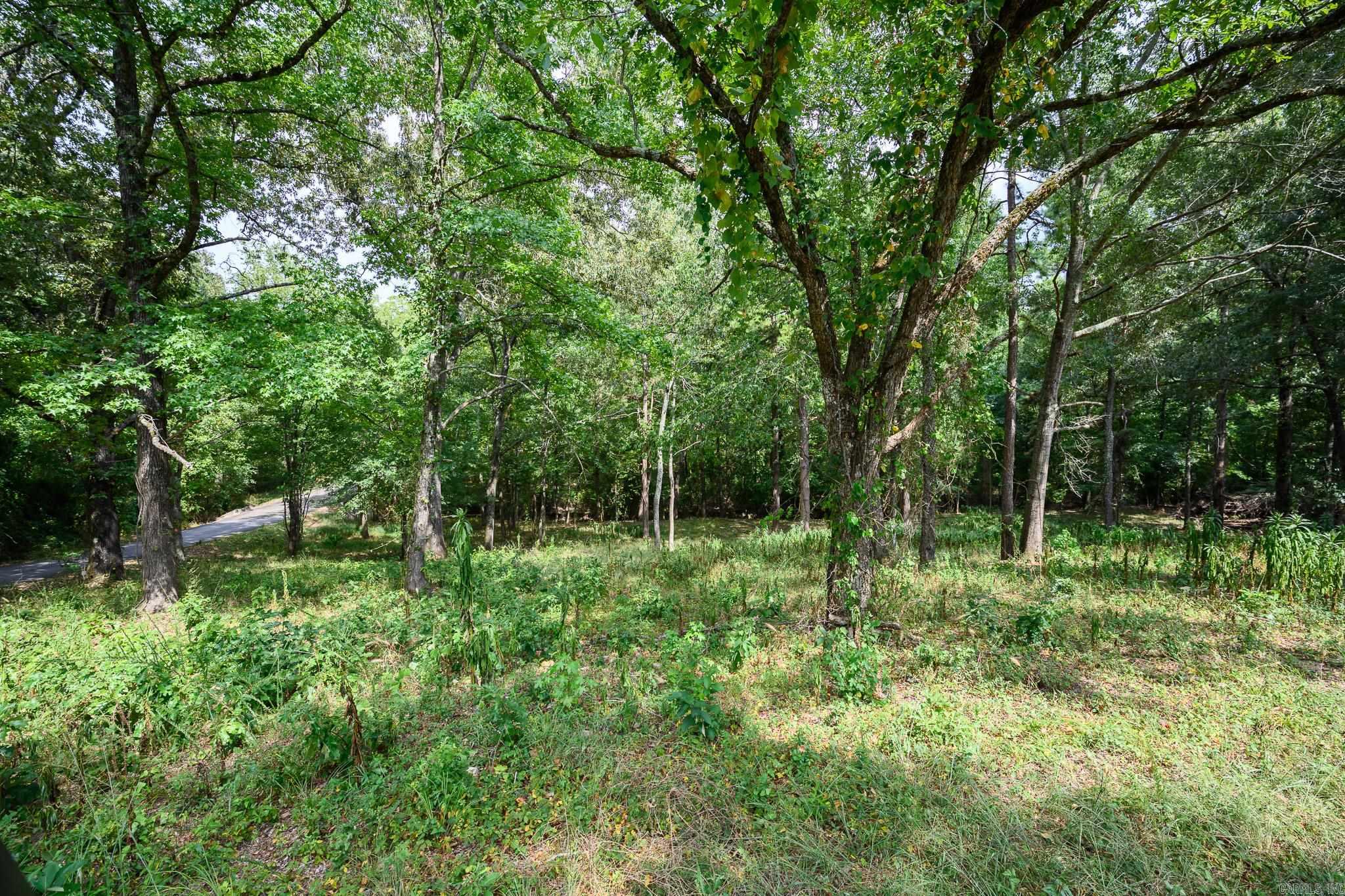 1705 Ashton  Mena, AR