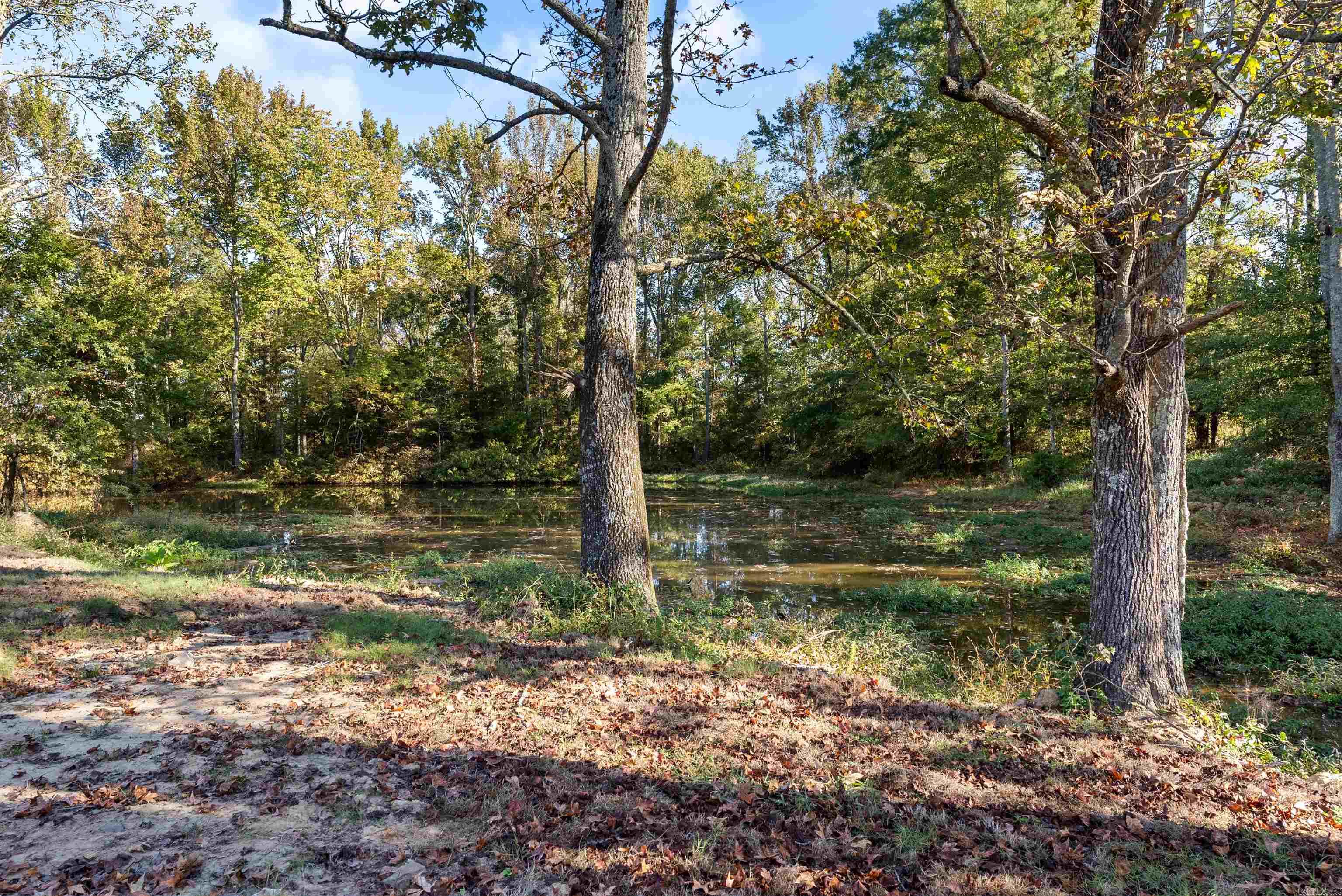 2535 Covington  Ward, AR