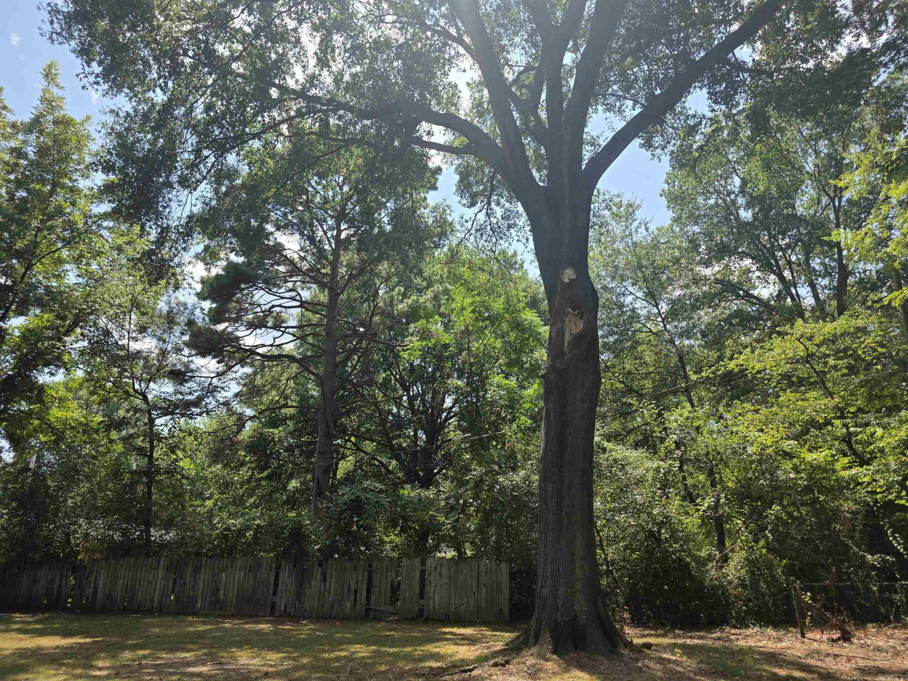 2106 Independence  Conway, AR