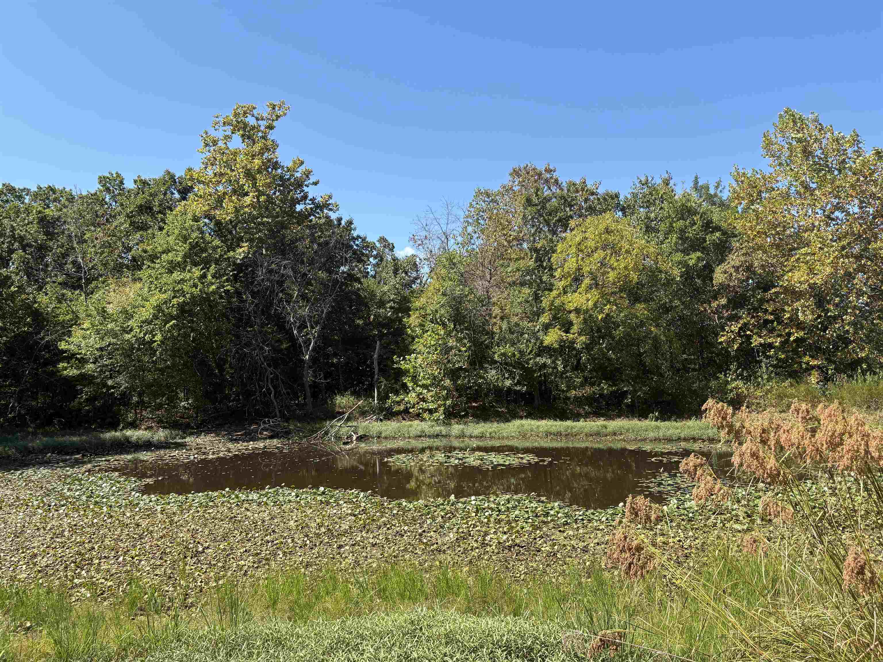 352 Hwy 62/412  Ash Flat, AR
