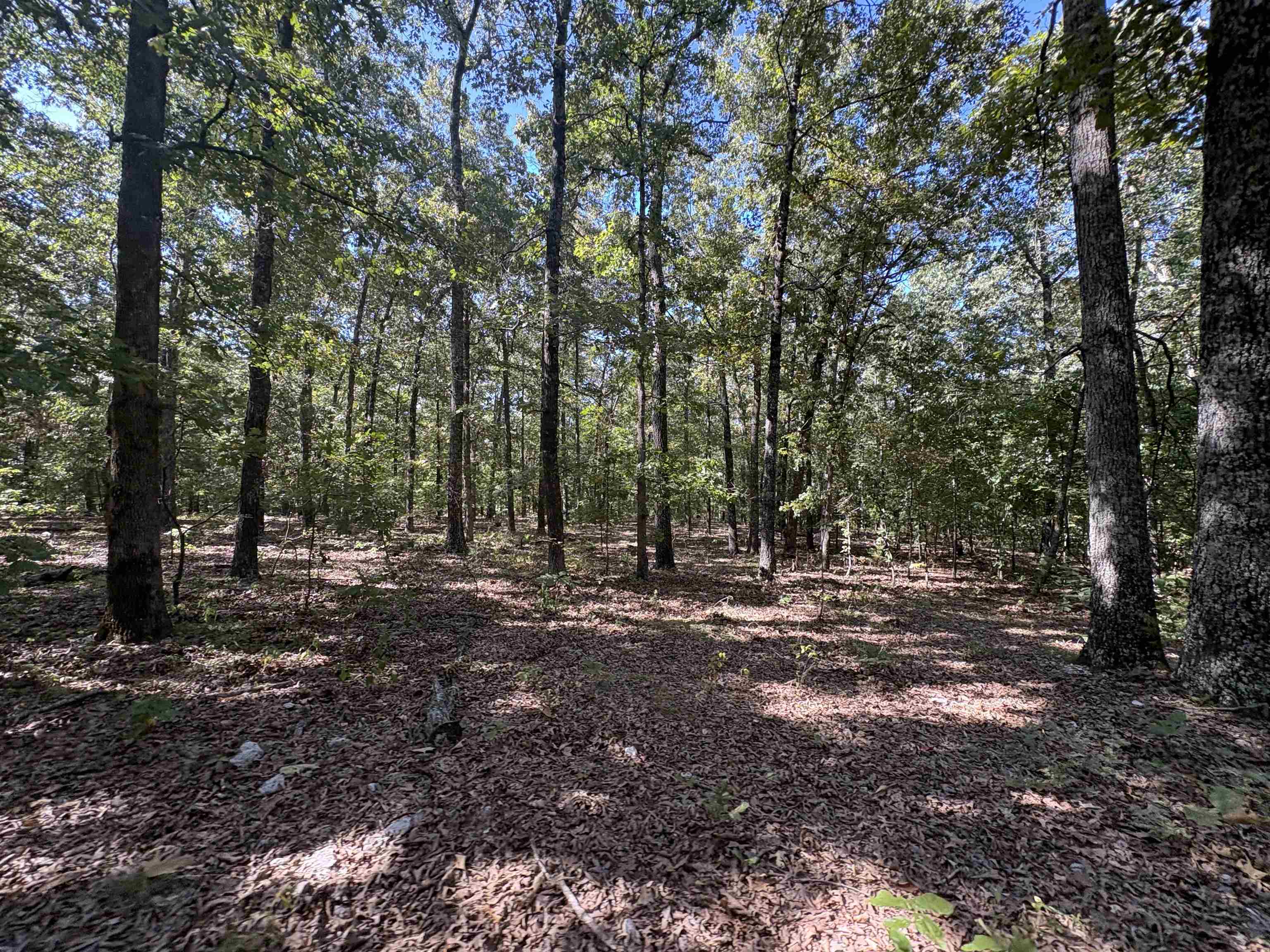 352 Hwy 62/412  Ash Flat, AR