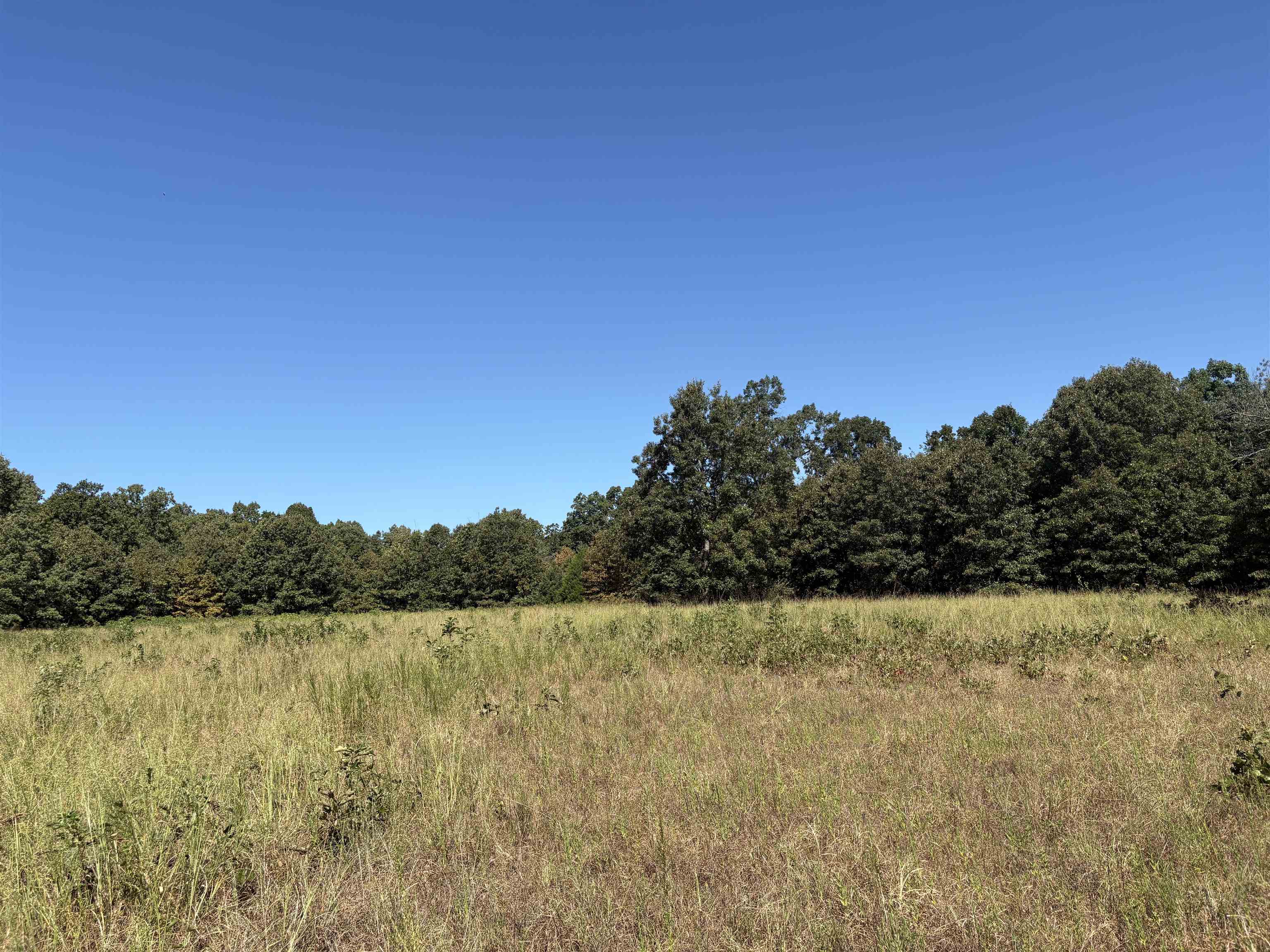 352 Hwy 62/412  Ash Flat, AR