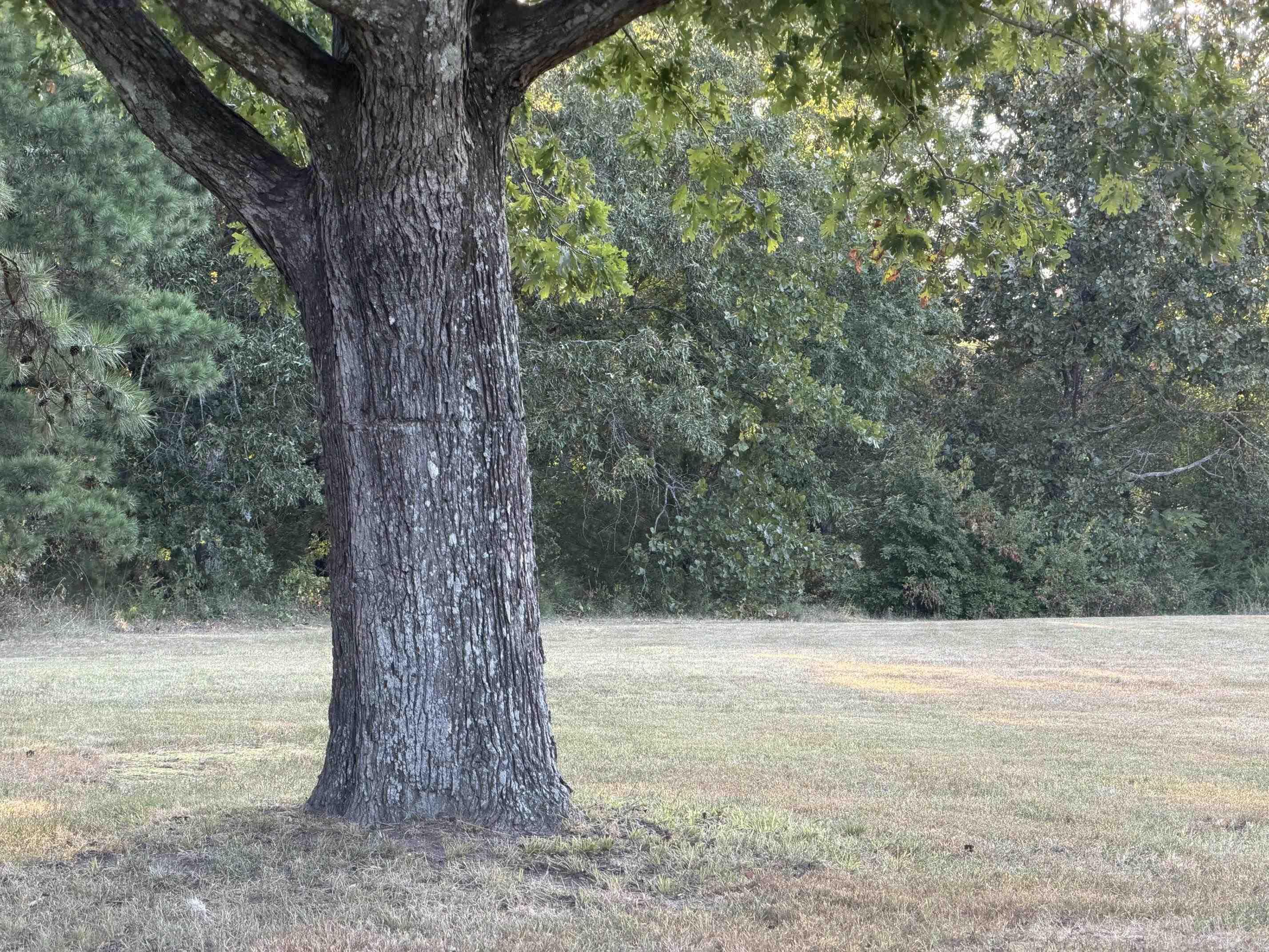 650 Heber Springs Rd W  Heber Springs, AR