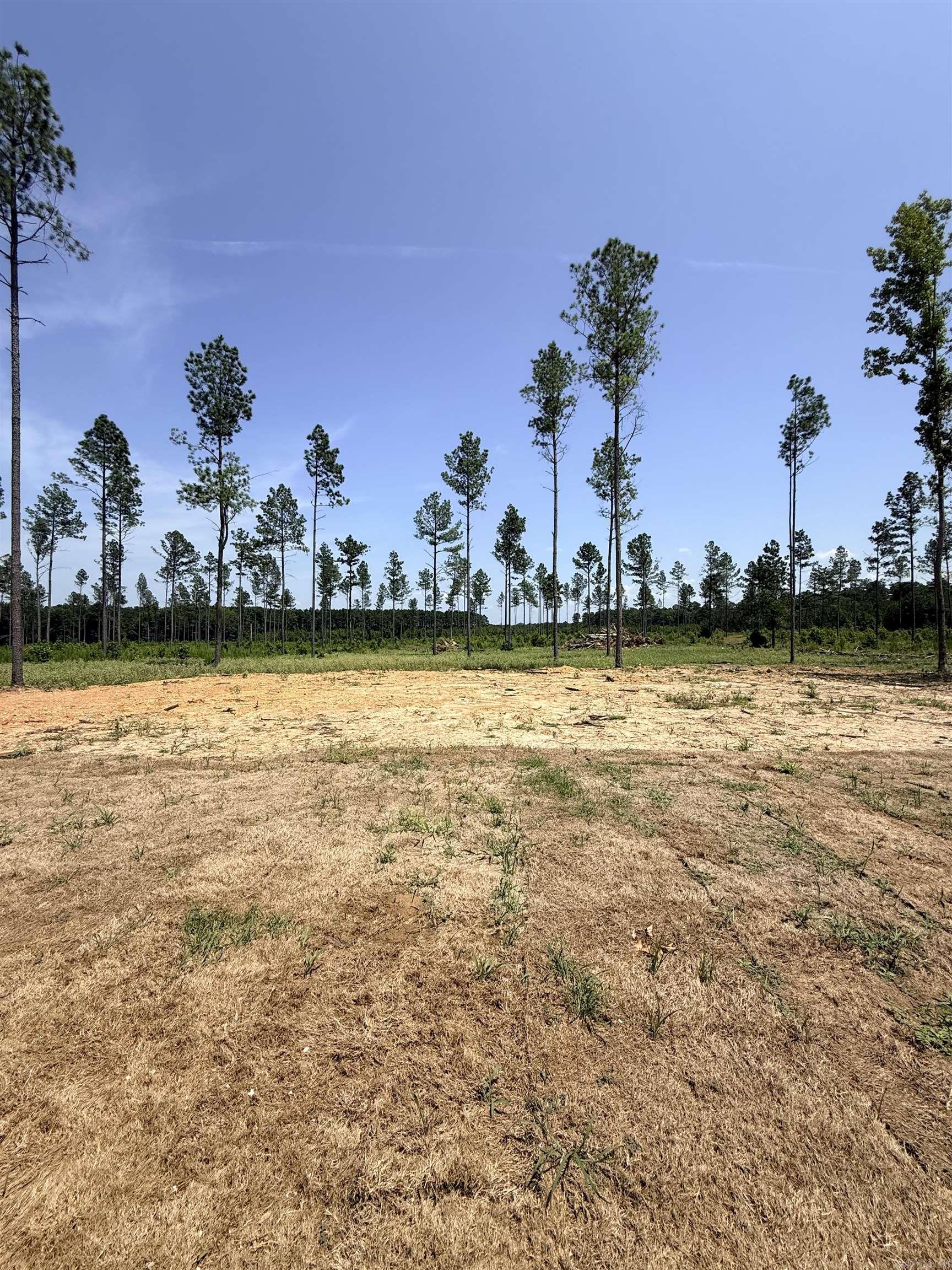 3690 Grant 9  Sheridan, AR
