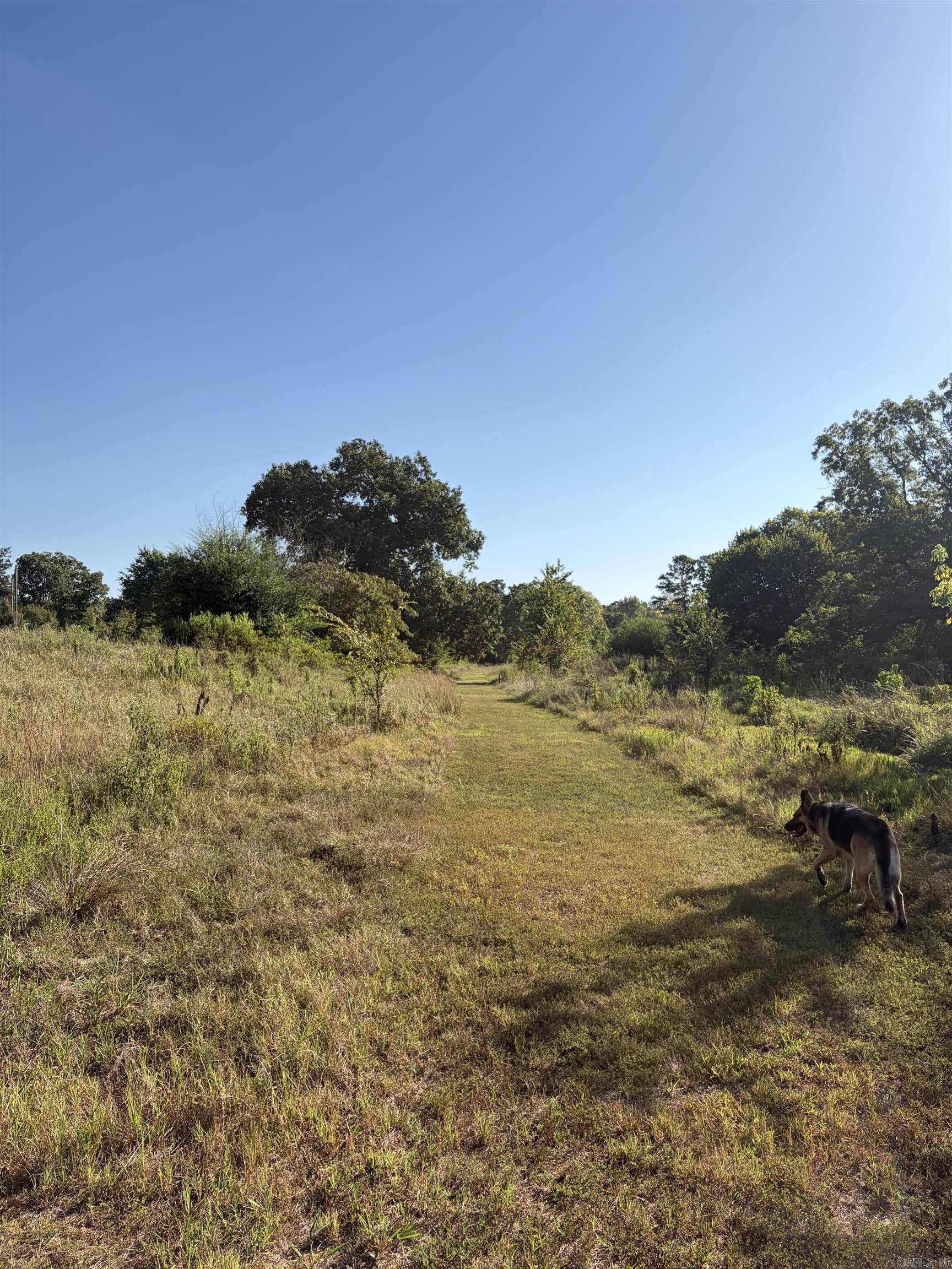 1355 W Highway 246  Hatfield, AR