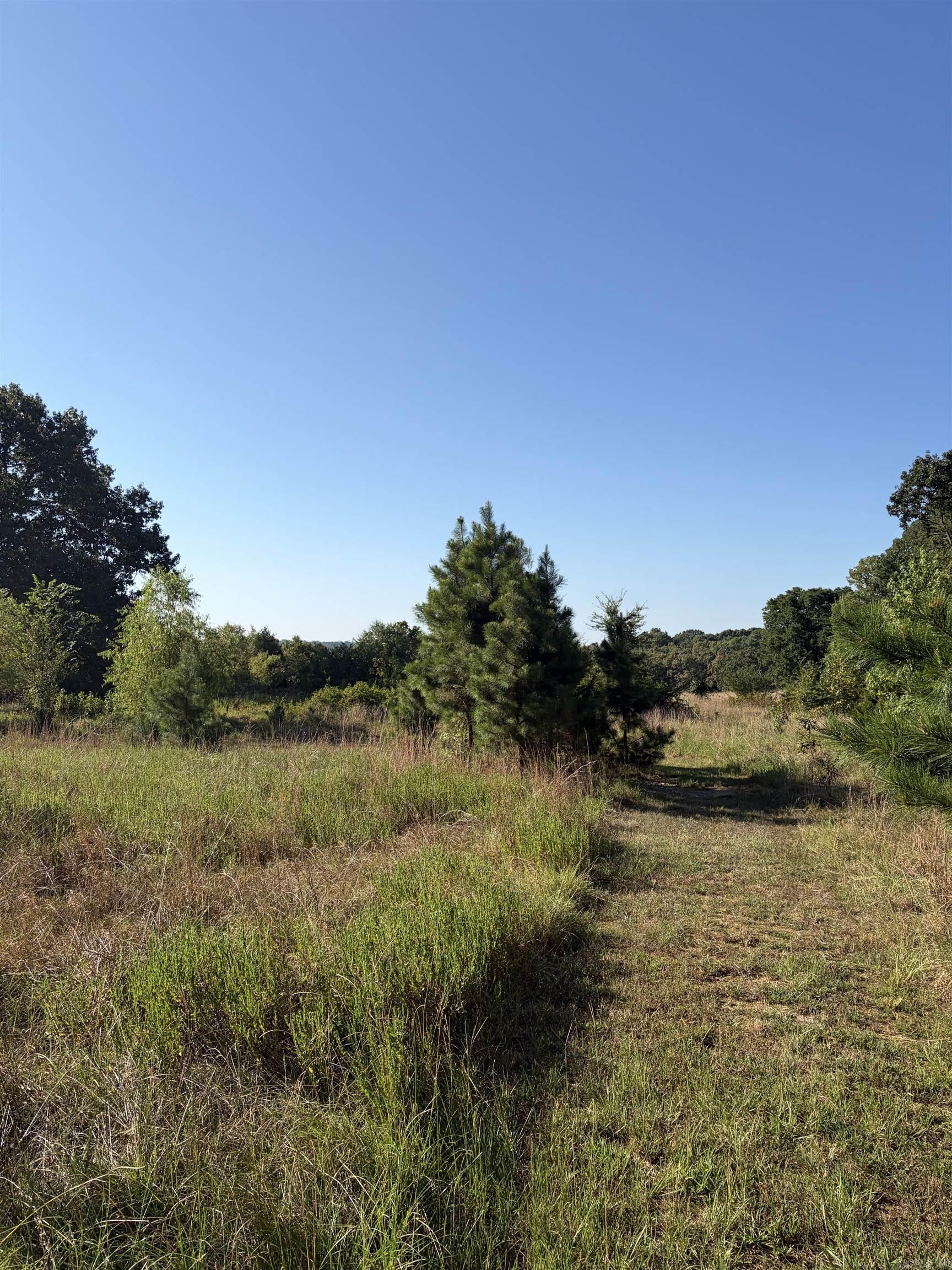 1355 W Highway 246  Hatfield, AR