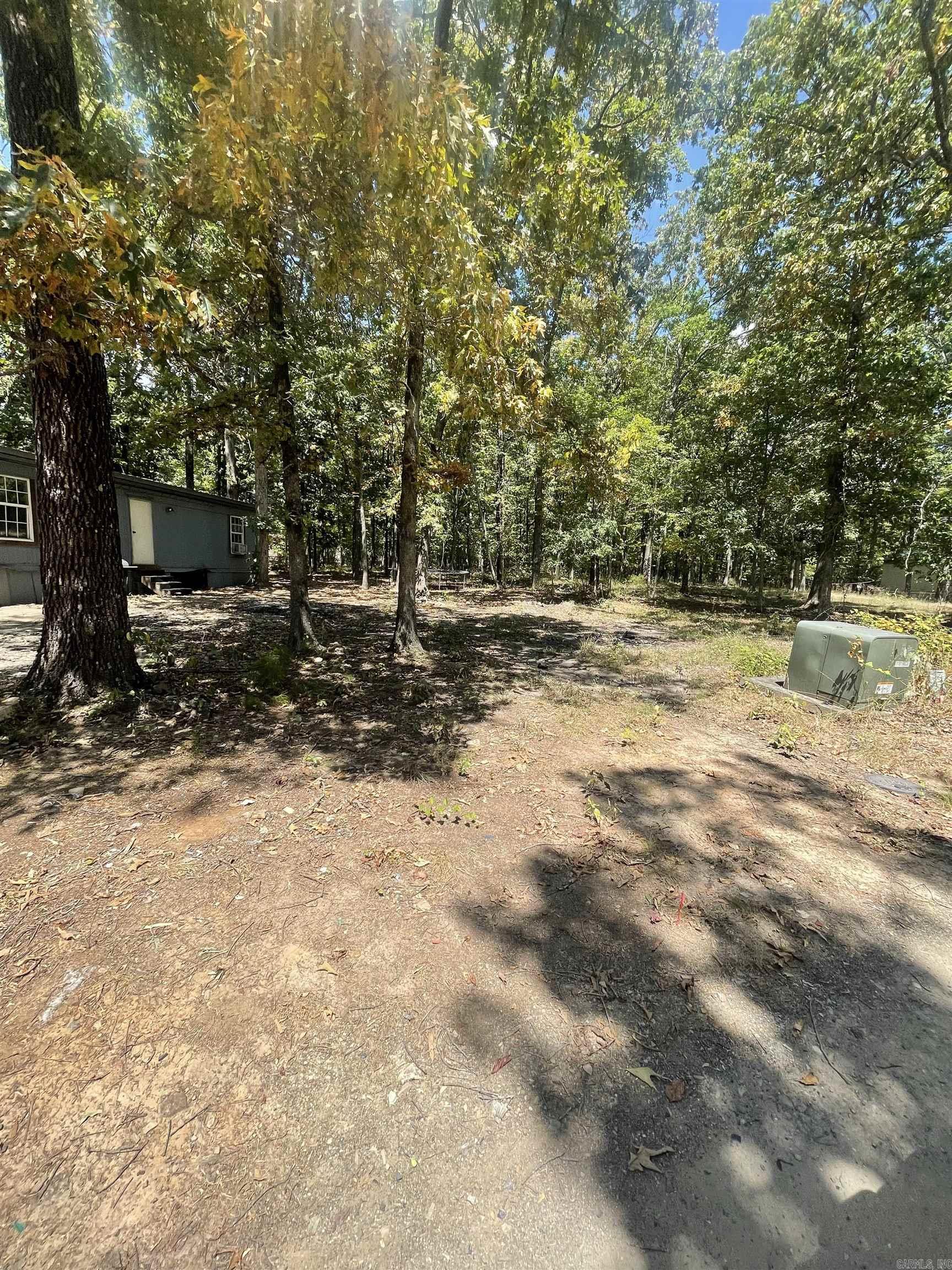 1001 N Eve Street  Mena, AR