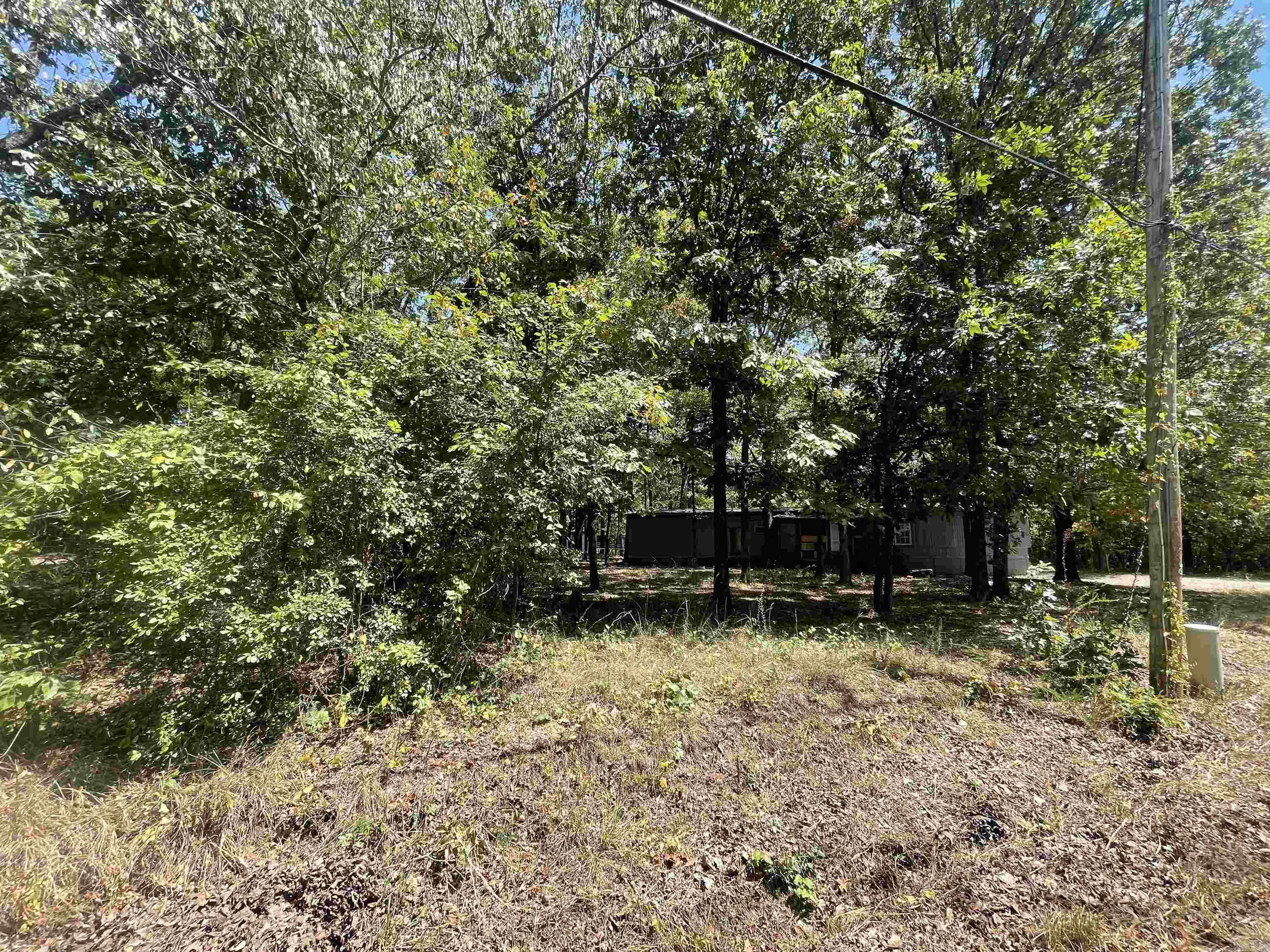 1001 N Eve Street  Mena, AR
