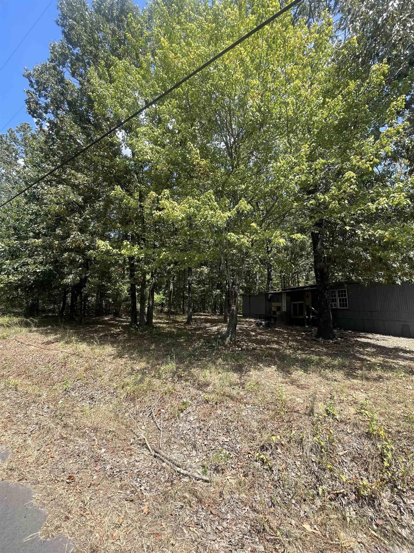 1001 N Eve Street  Mena, AR