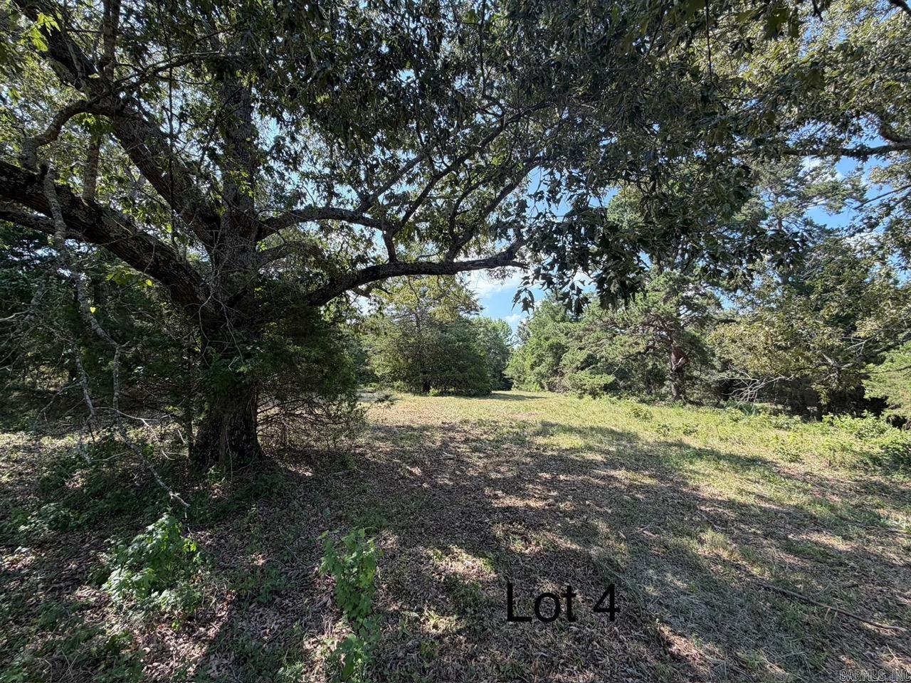 100 McClatchy Ln — photo 3