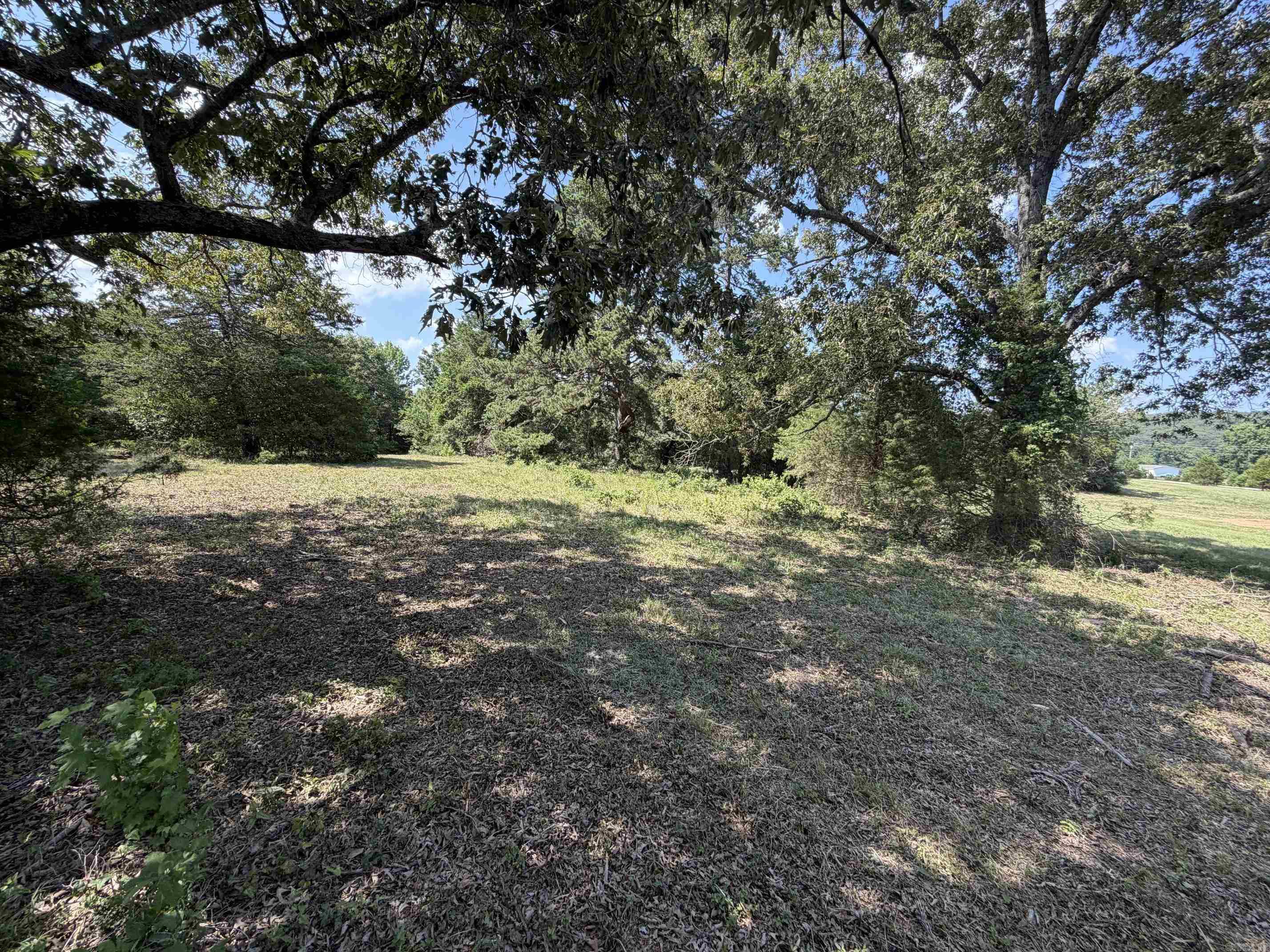 100 McClatchy Ln — photo 4