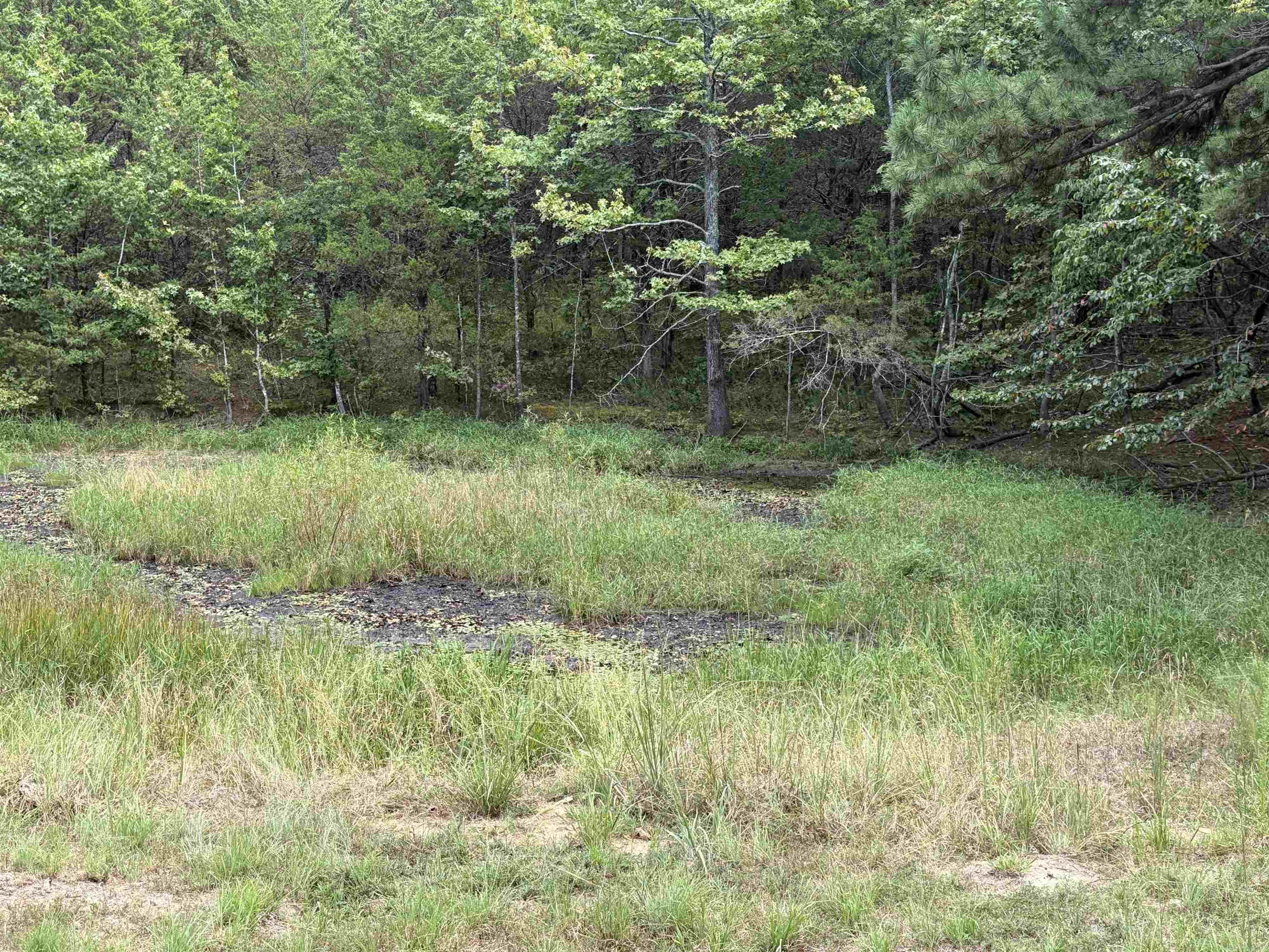 5618 Byron Road  Salem, AR