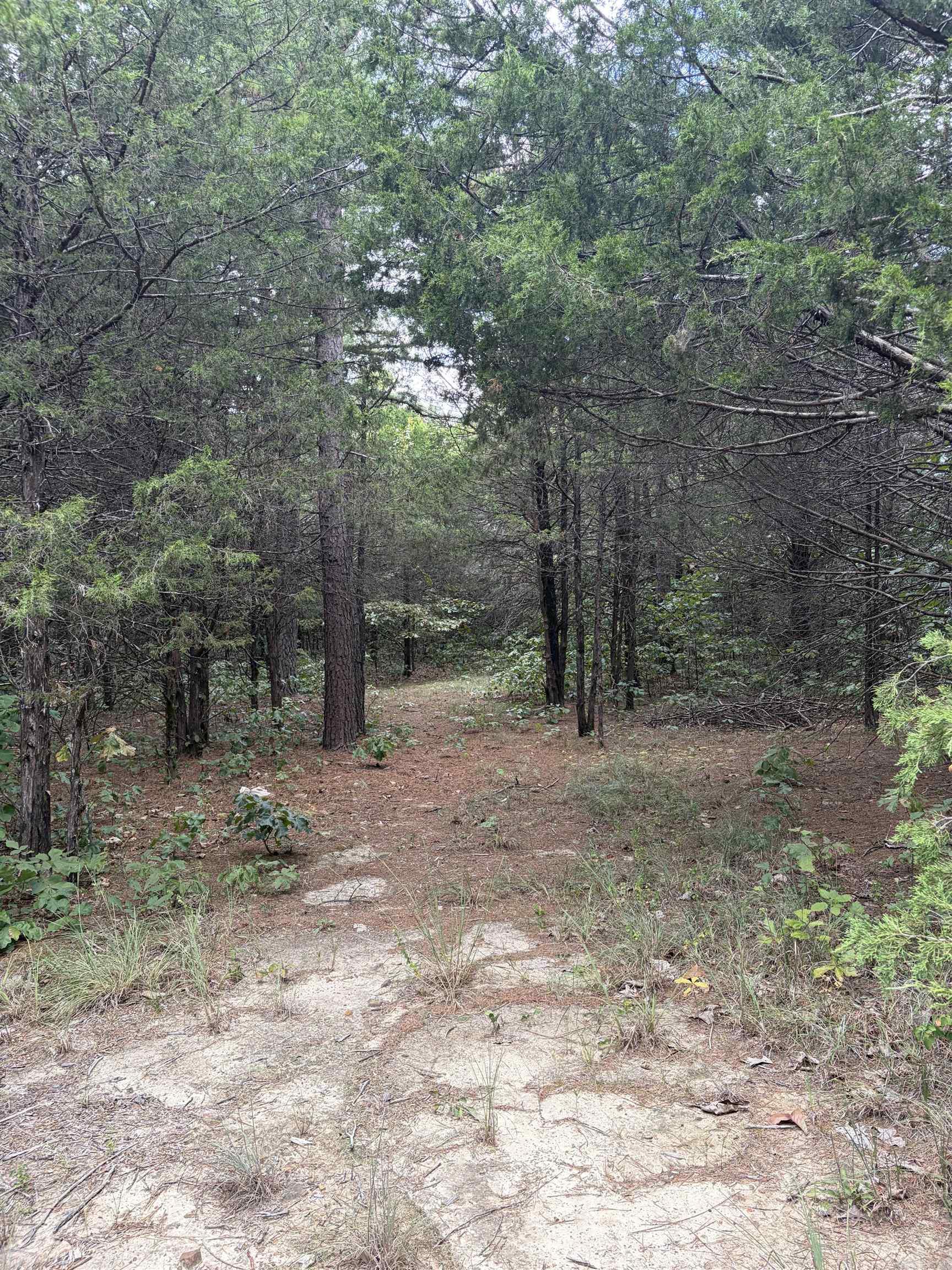 5618 Byron Road  Salem, AR