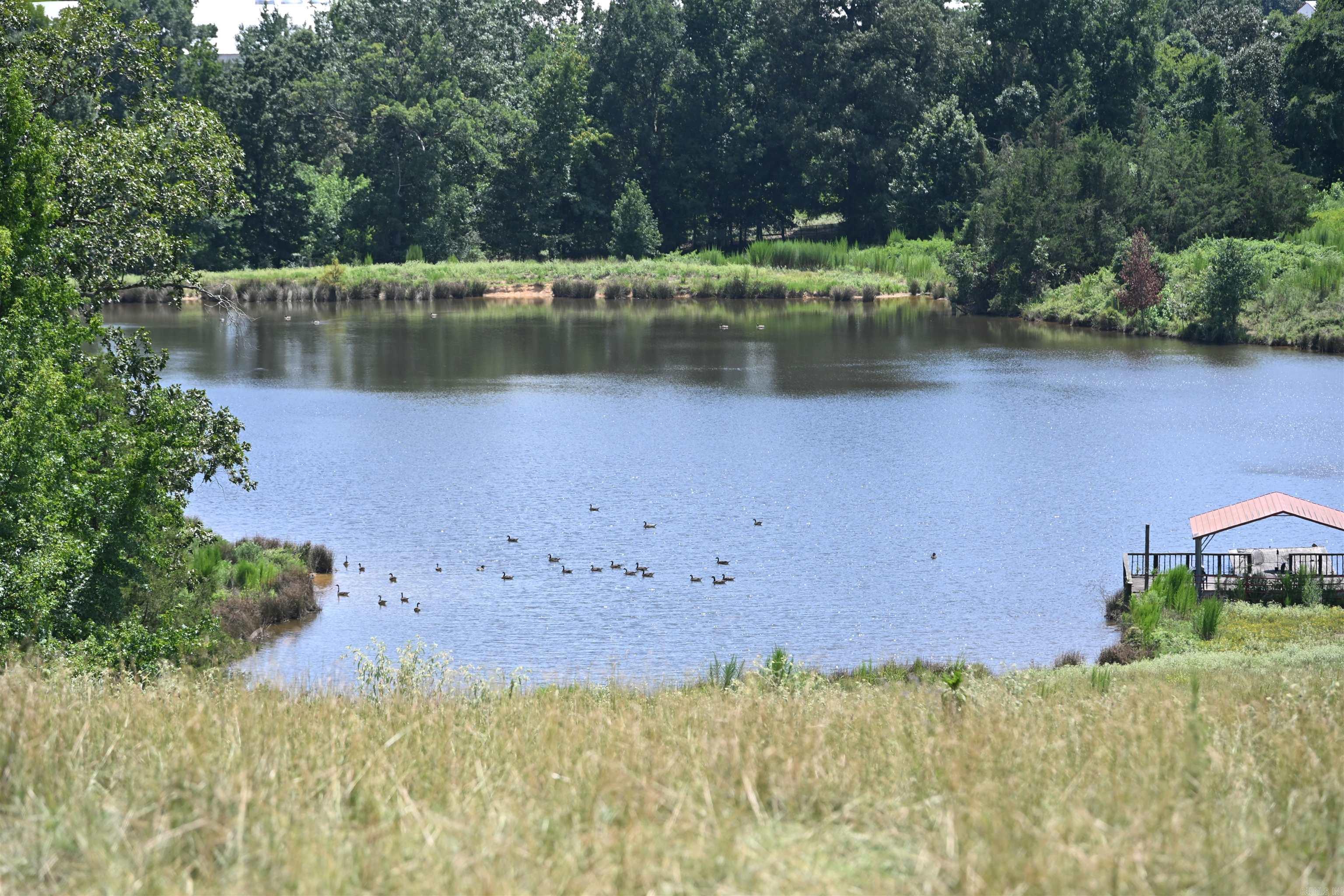 115 Bingham  De Queen, AR