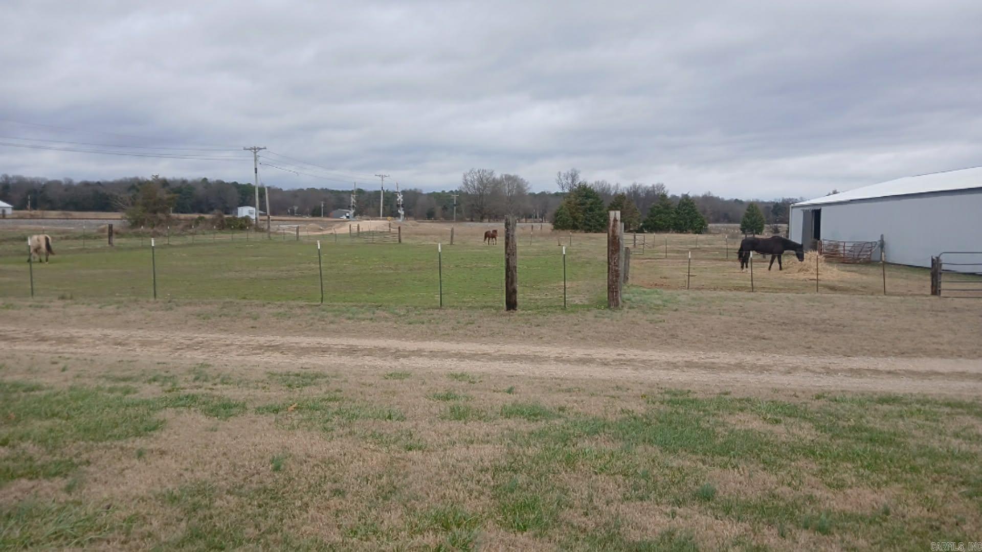 1050 Cr 481  Rector, AR