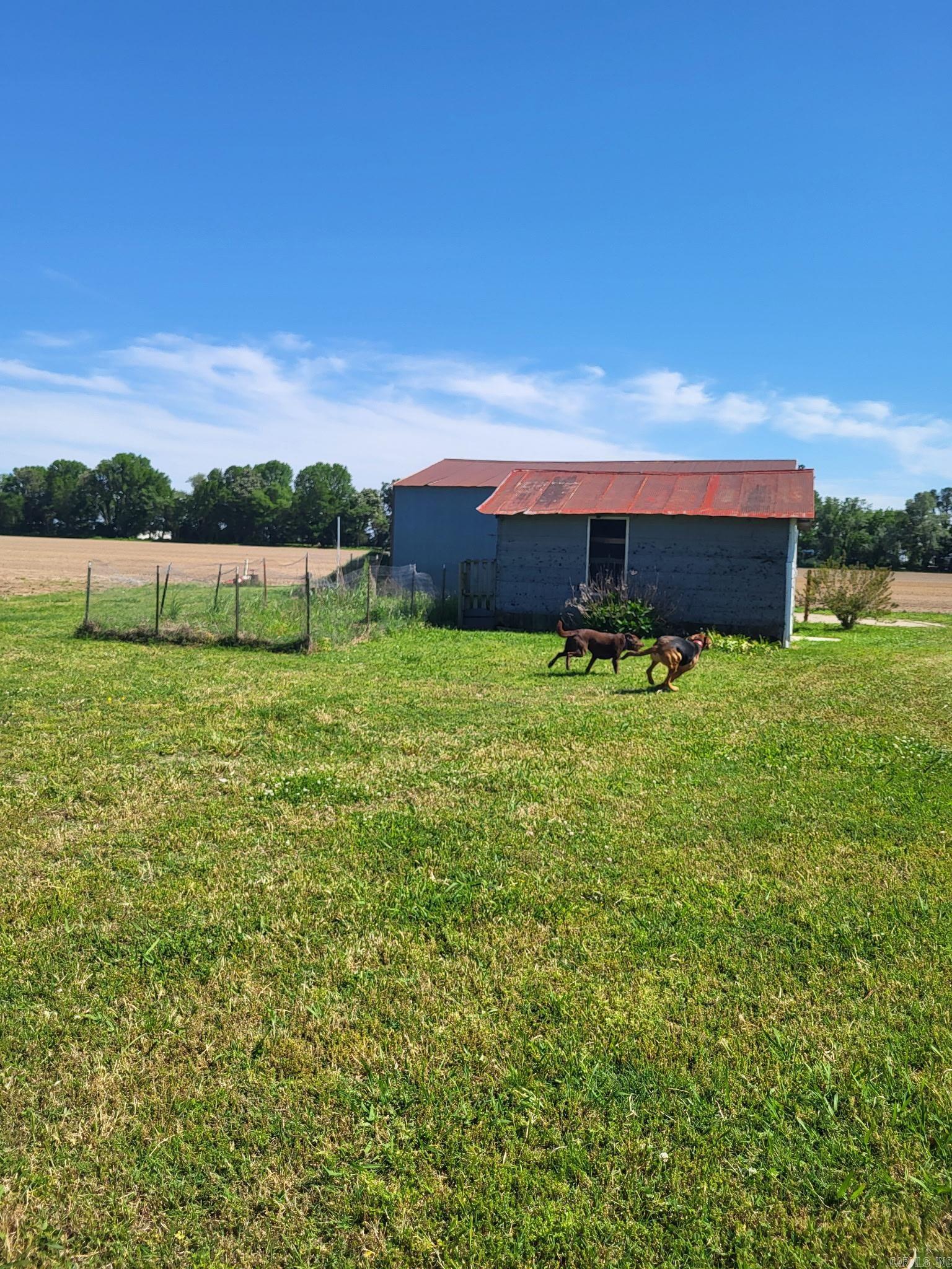 1050 Cr 481  Rector, AR