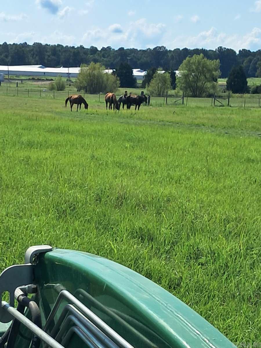 1050 Cr 481  Rector, AR