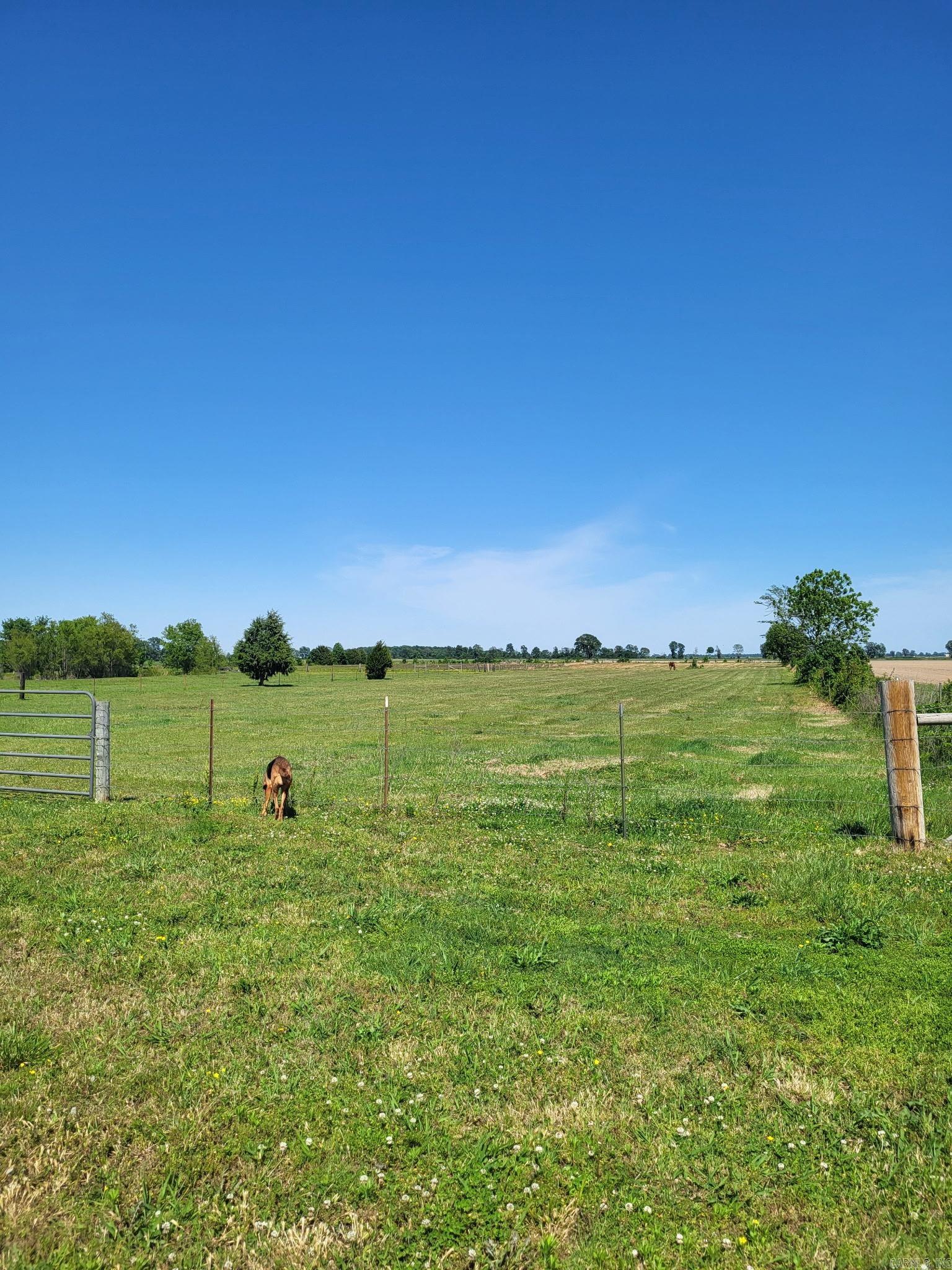 1050 Cr 481  Rector, AR