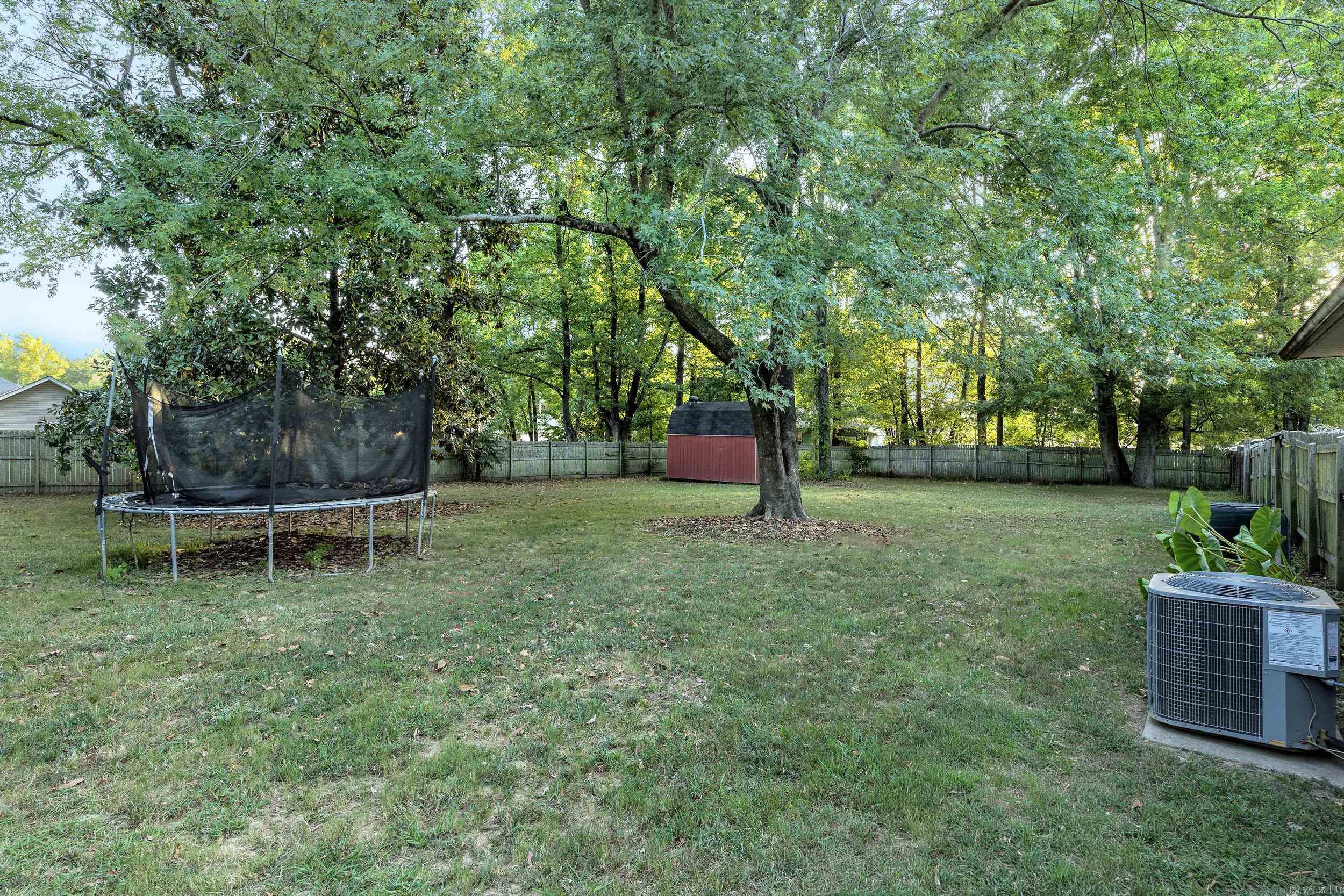 3 Shaun  Mayflower, AR