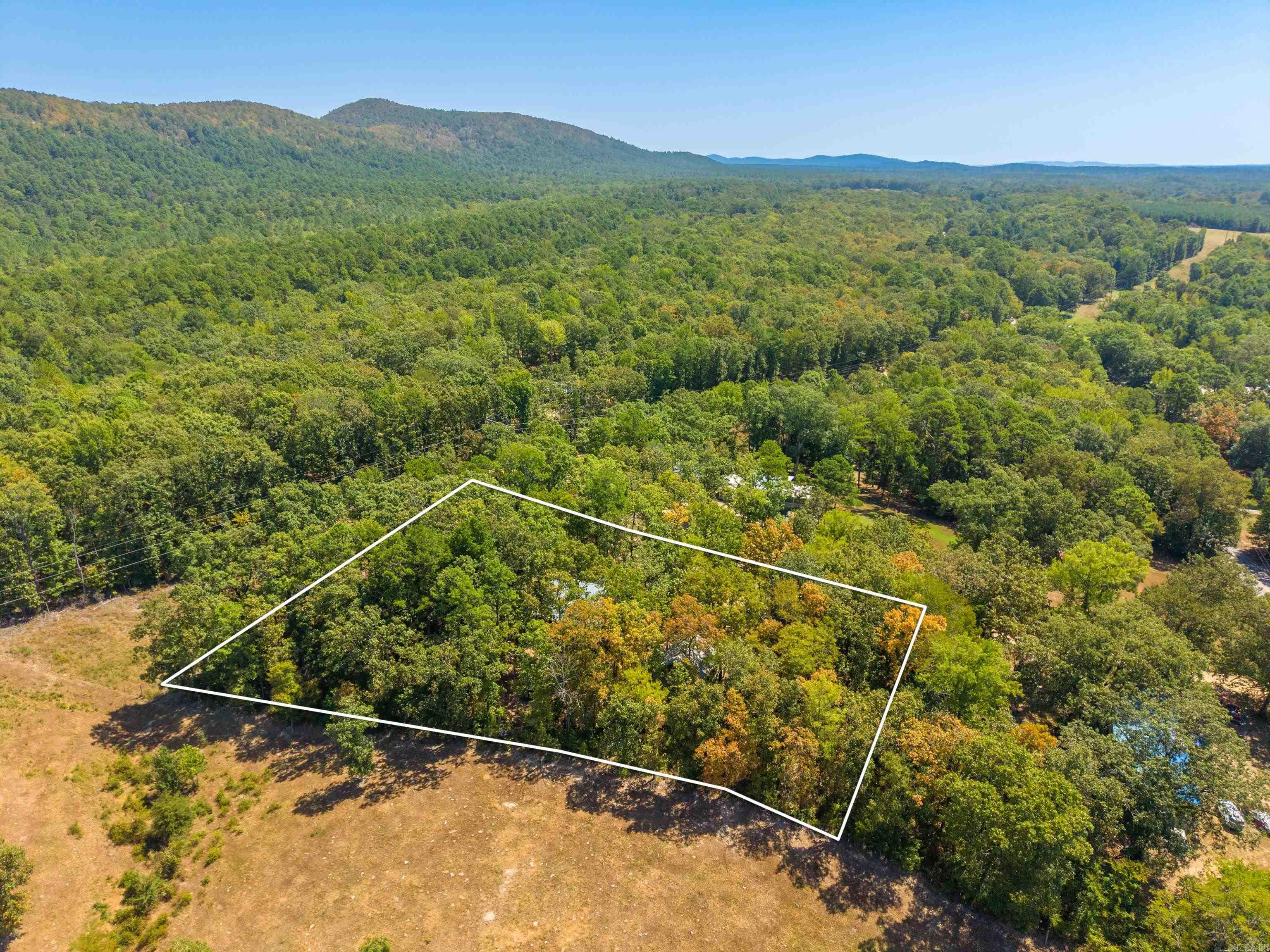 3 Lolas  Glenwood, AR