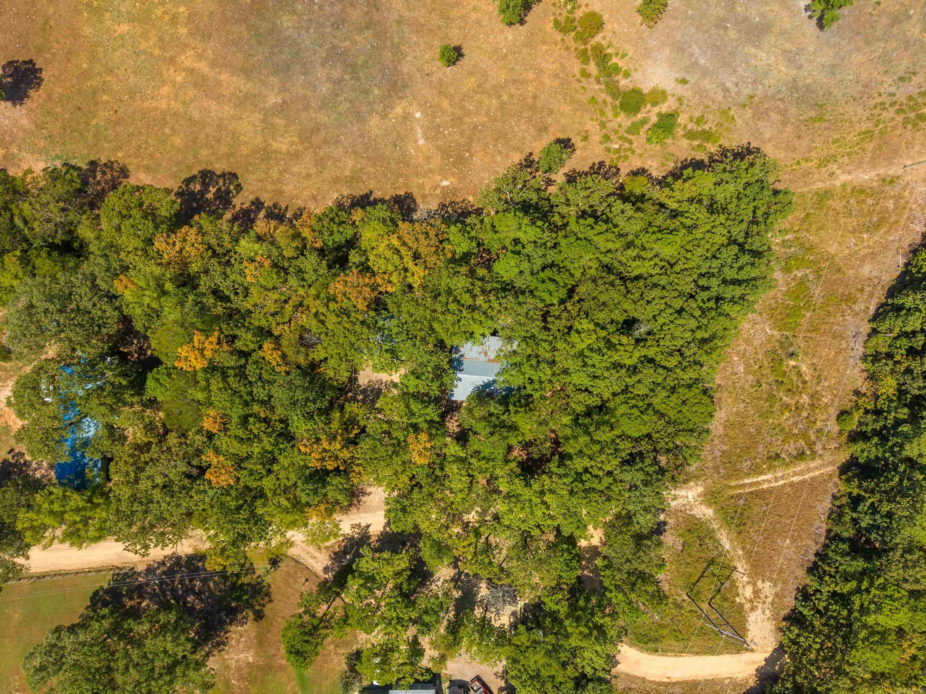 3 Lolas  Glenwood, AR