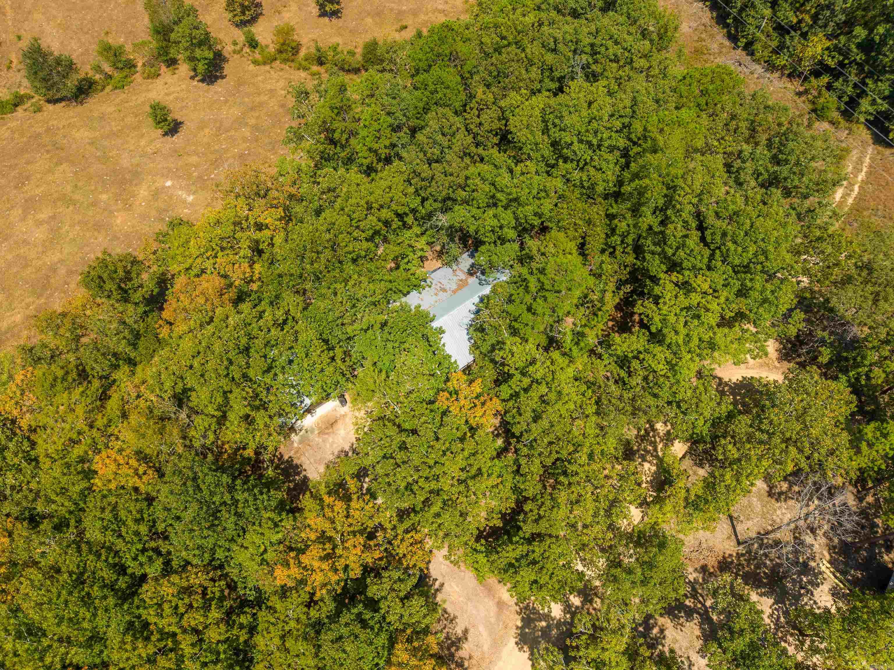 3 Lolas  Glenwood, AR